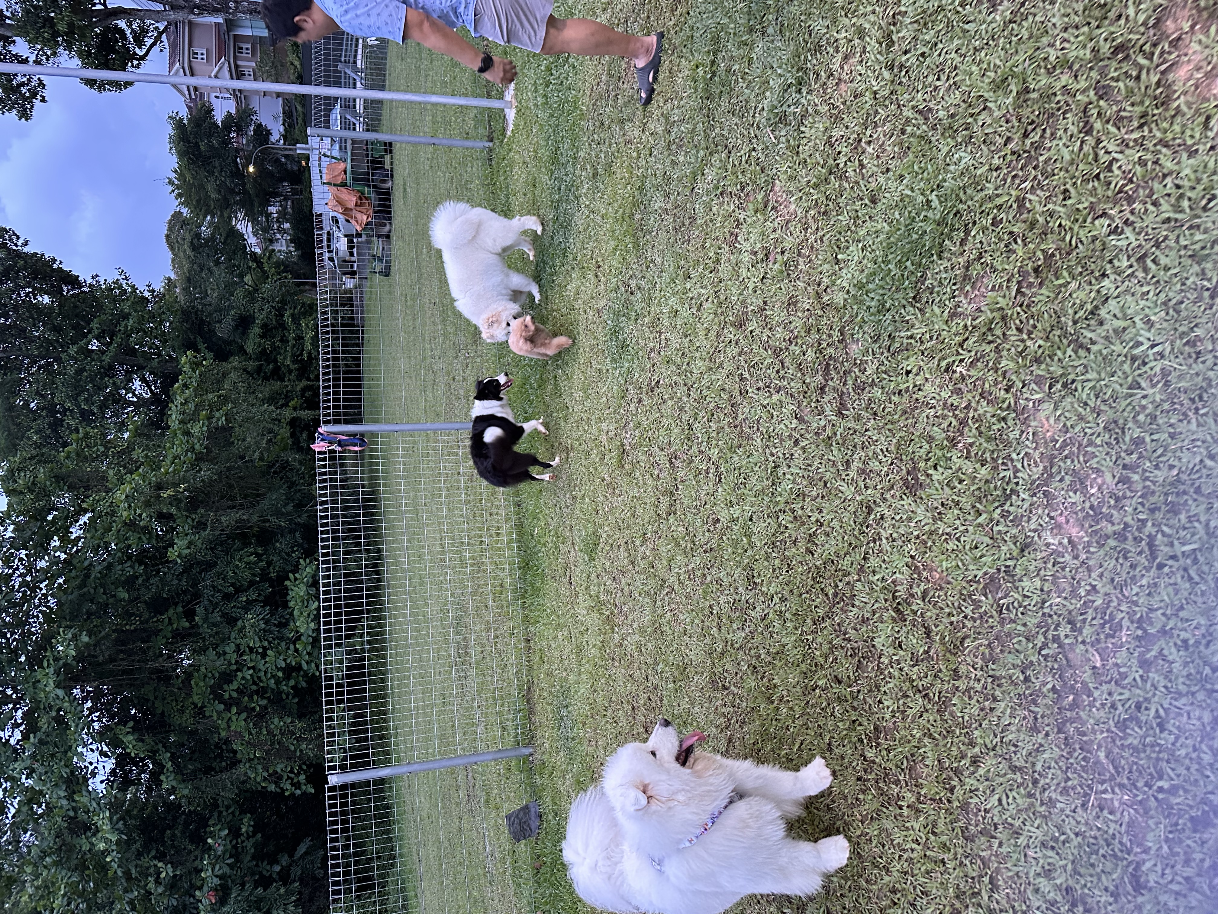 image-4