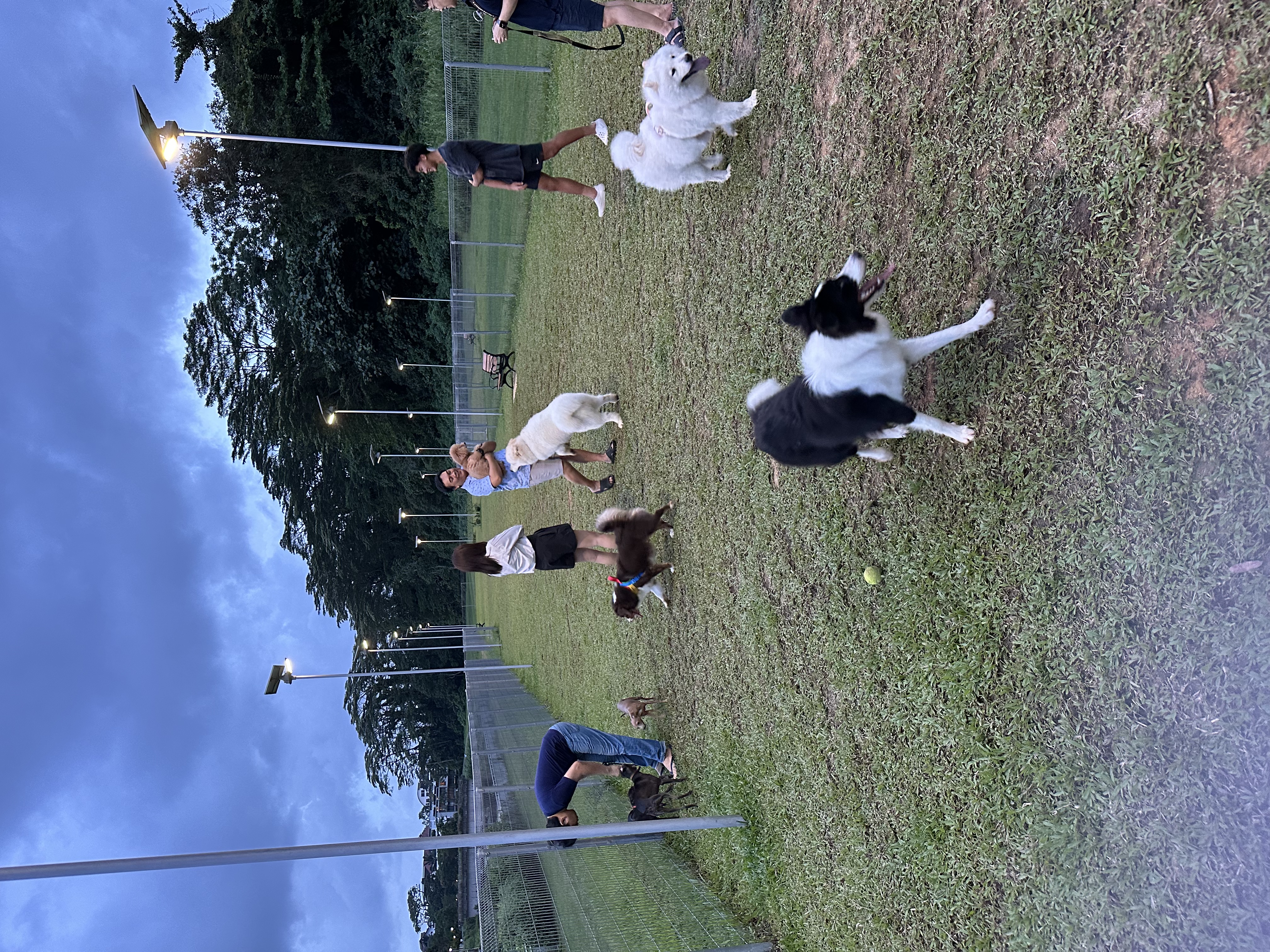 image-5