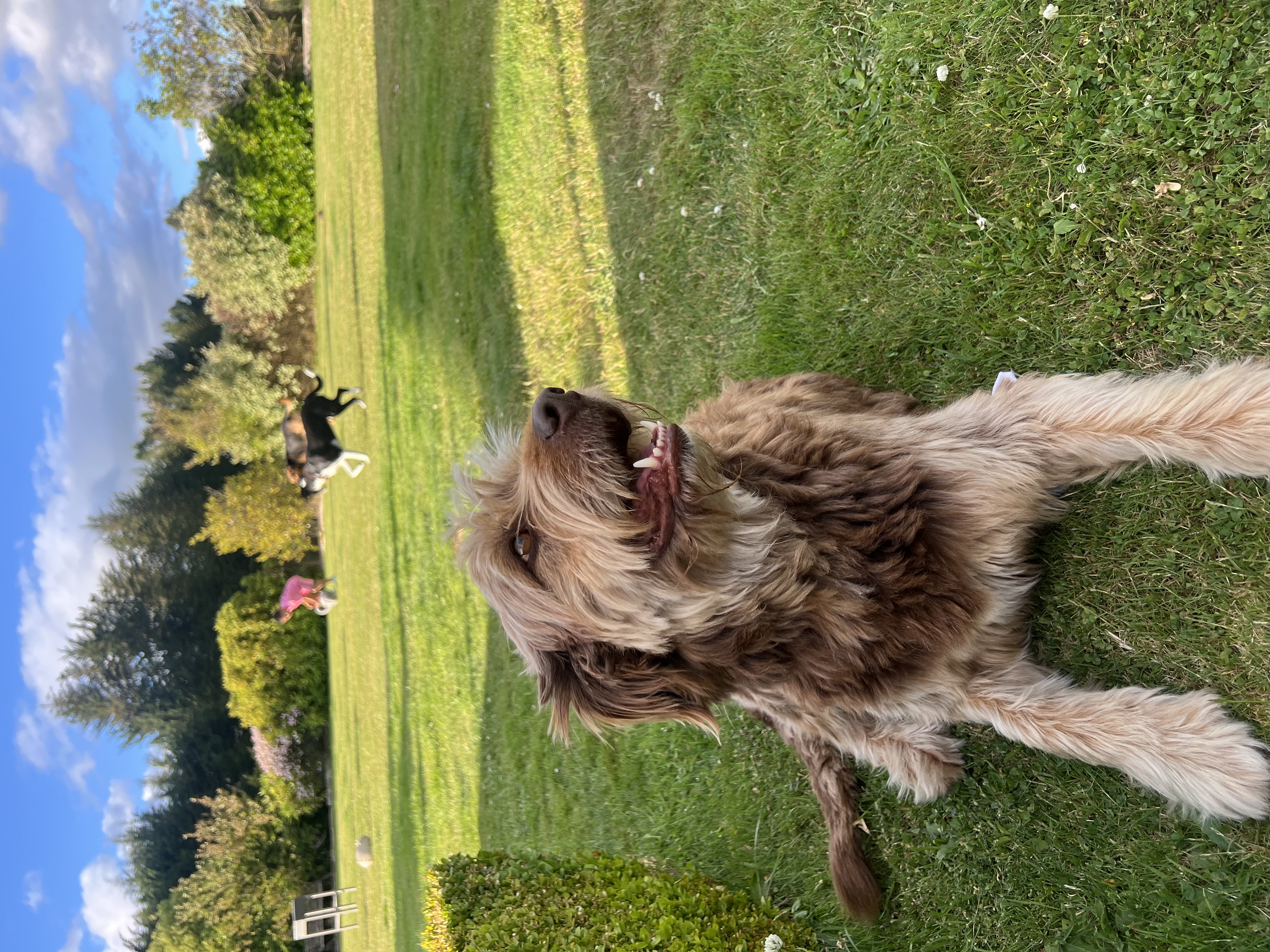 image-6