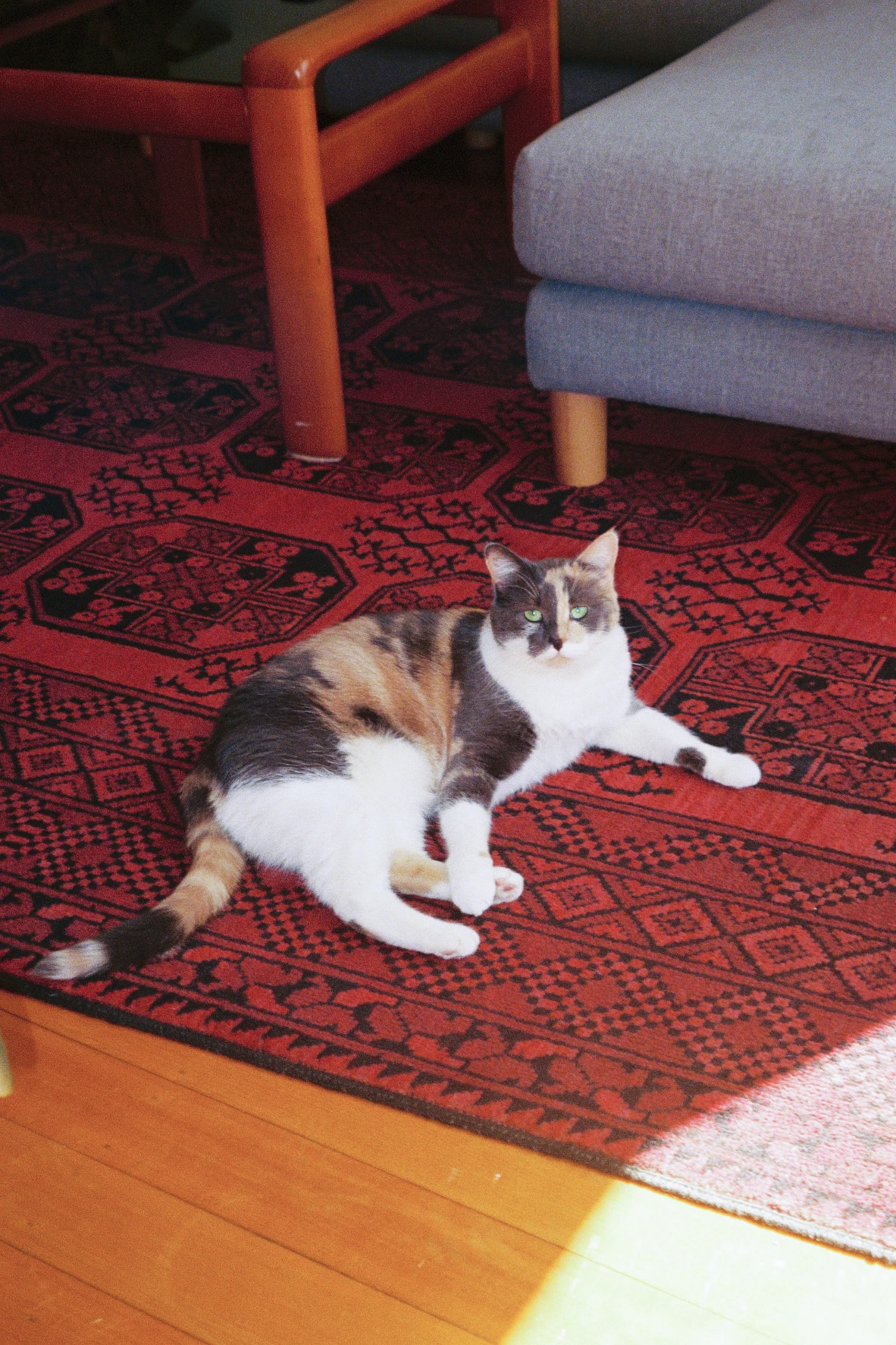 image-4