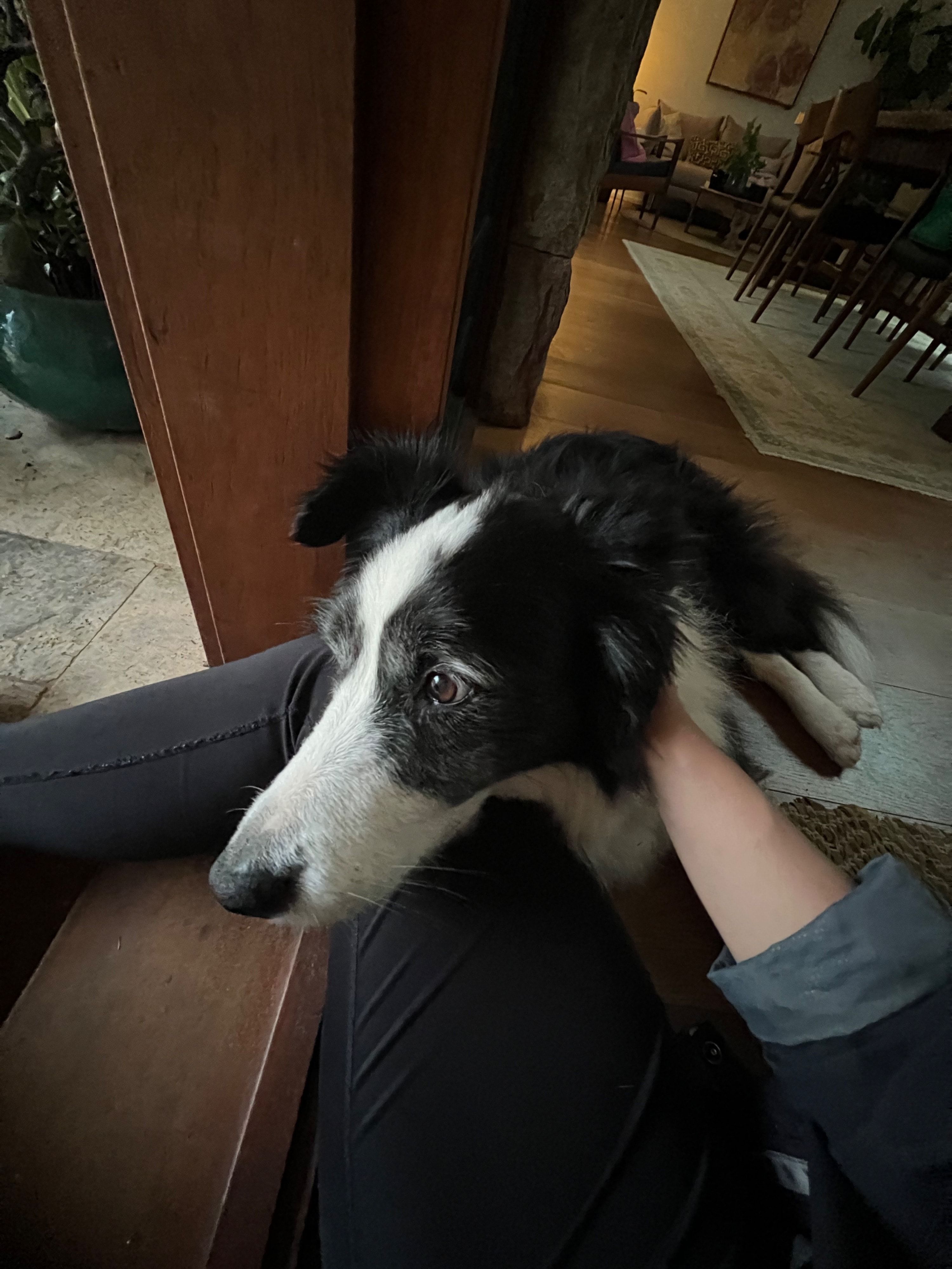image-5