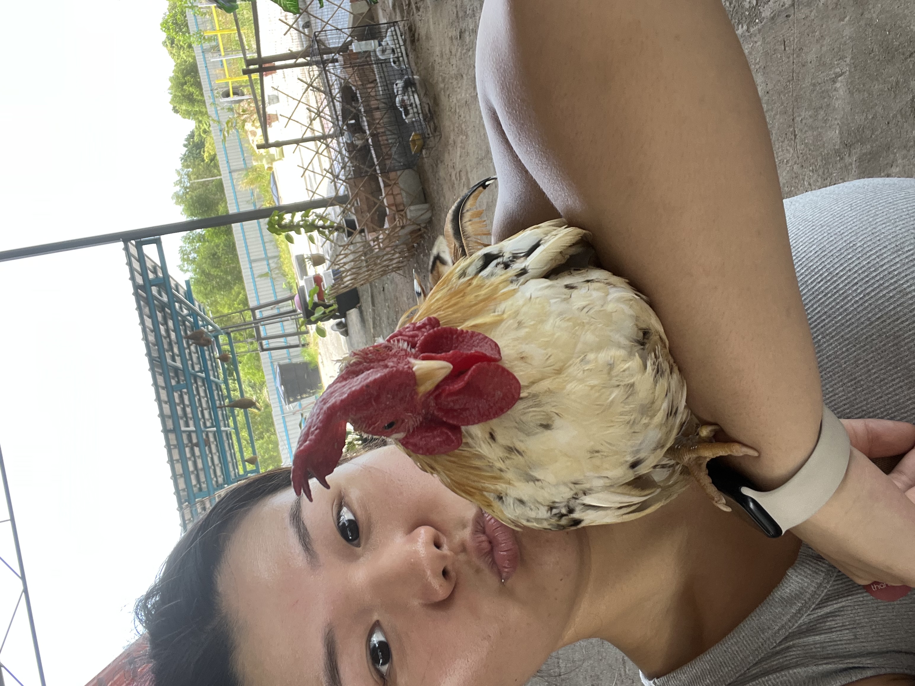 image-6