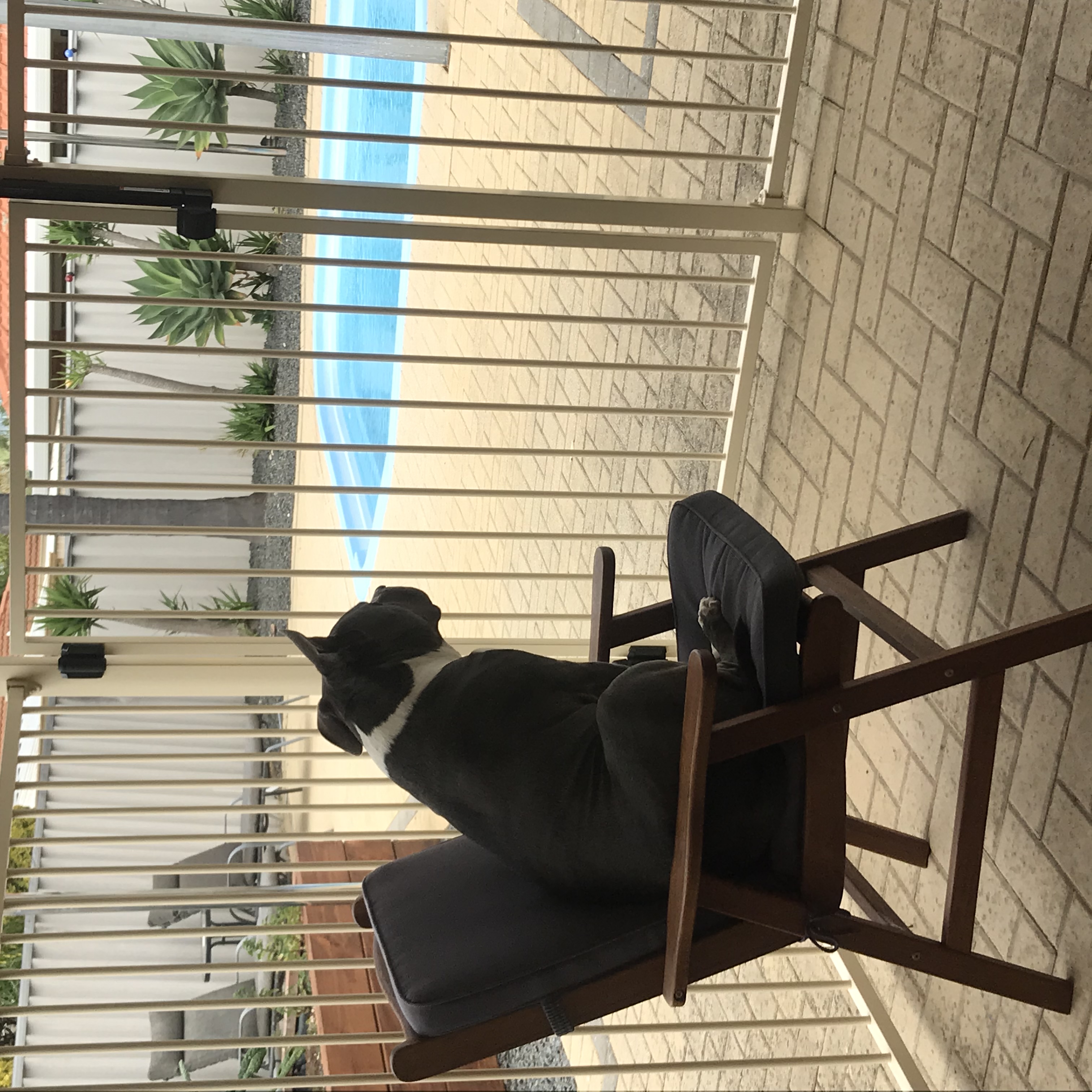 image-16