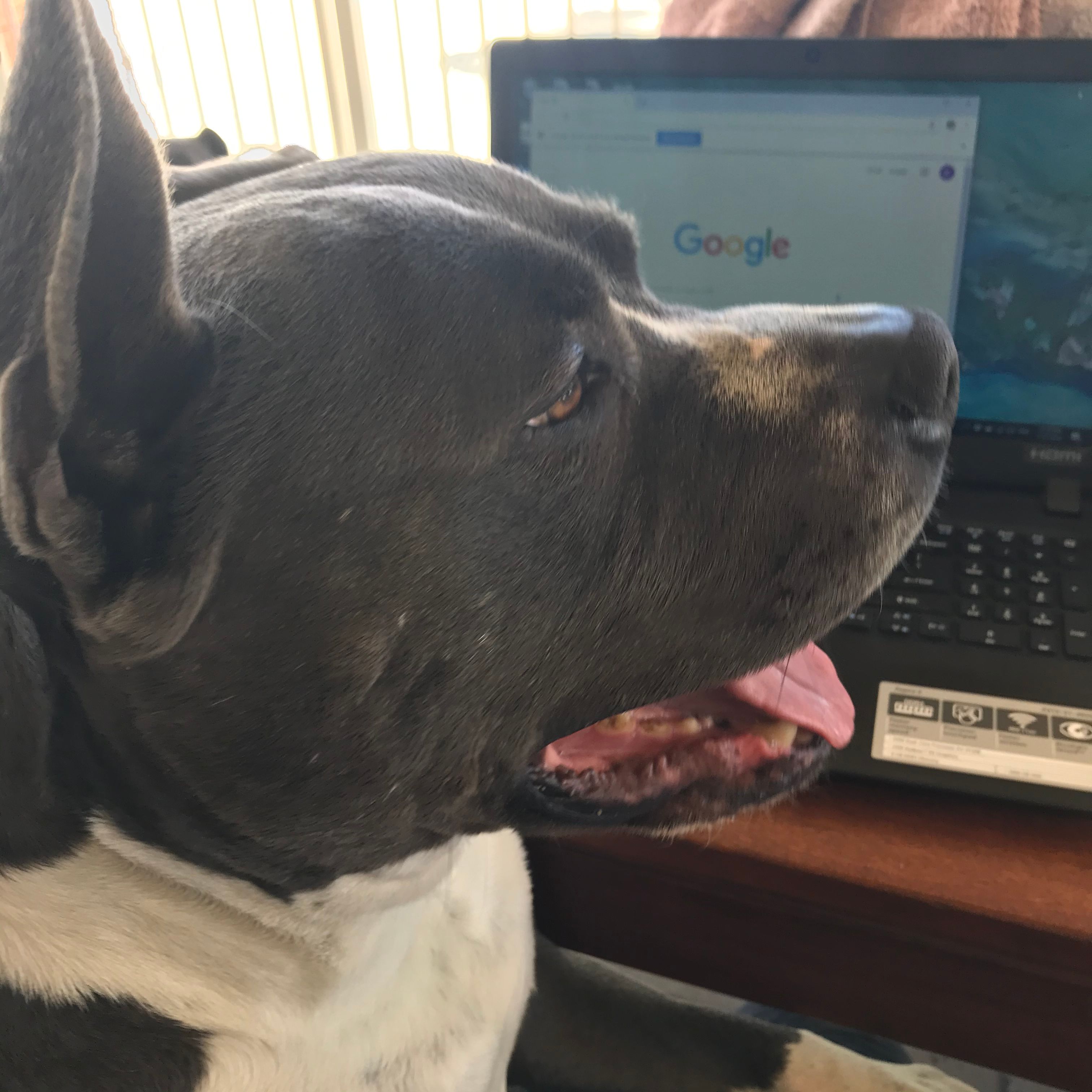 image-7