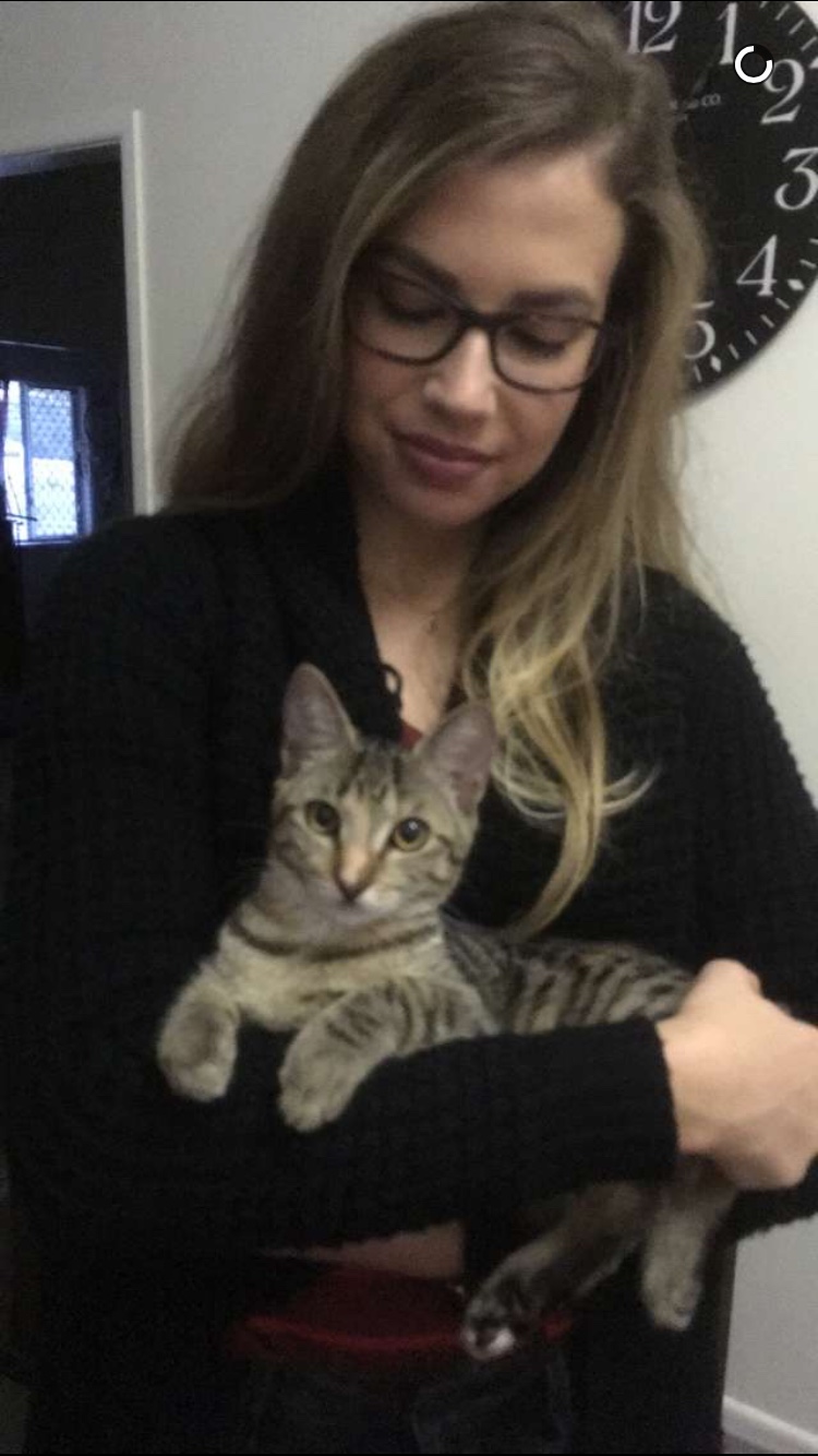 image-2