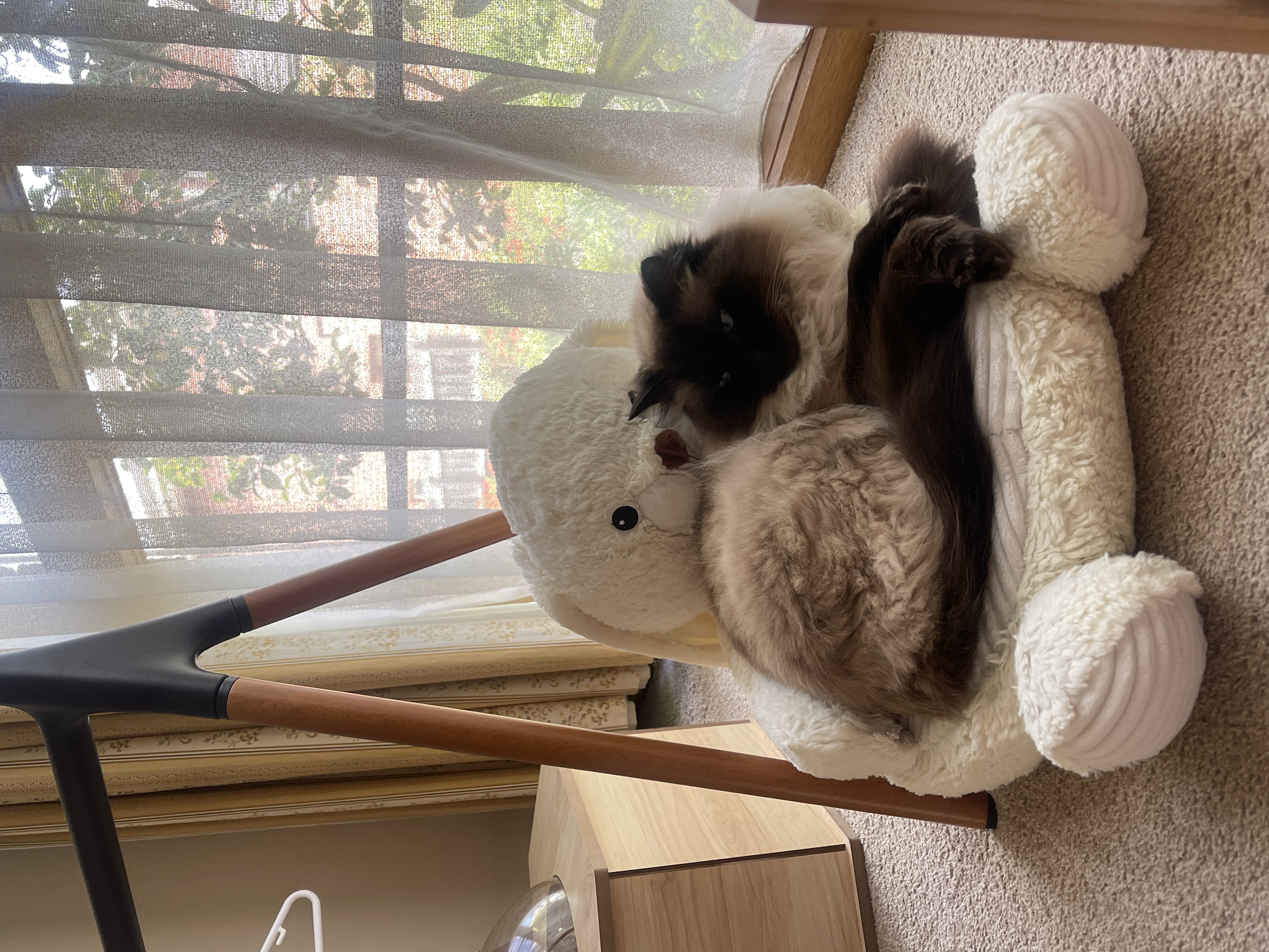 image-15