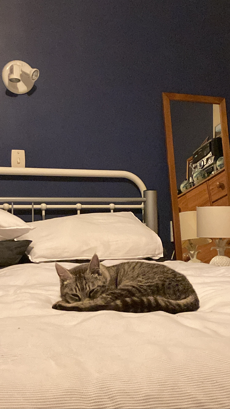 image-12