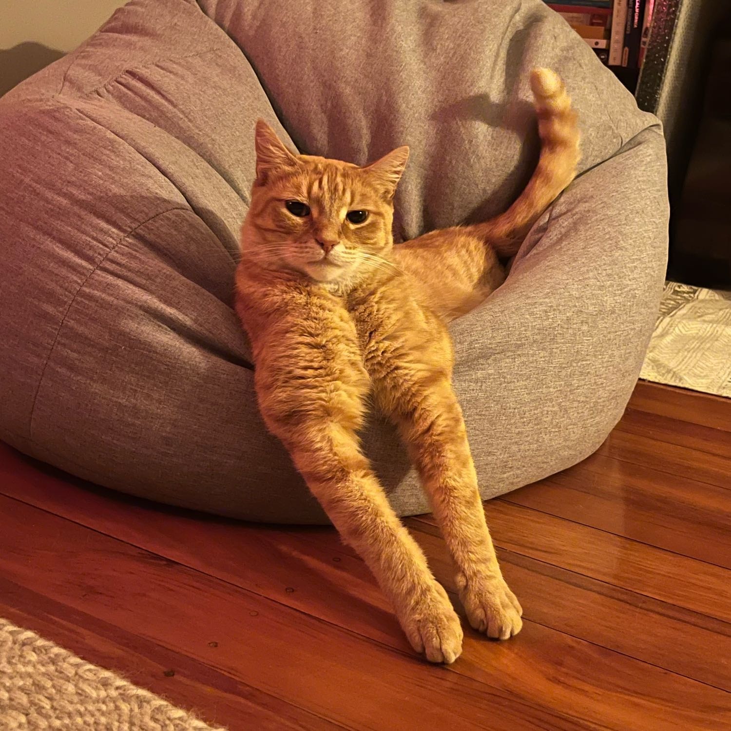 Remy