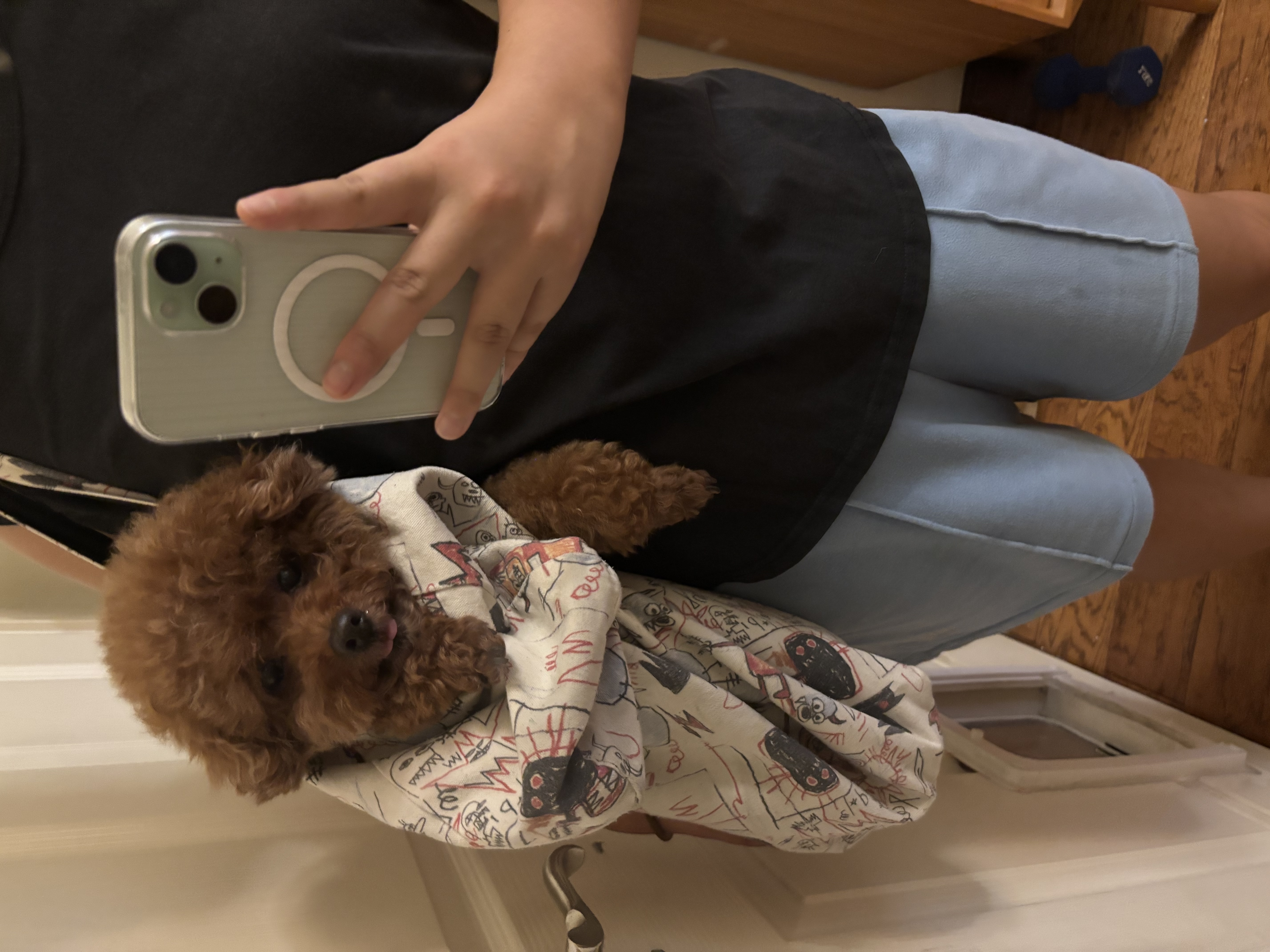 image-6
