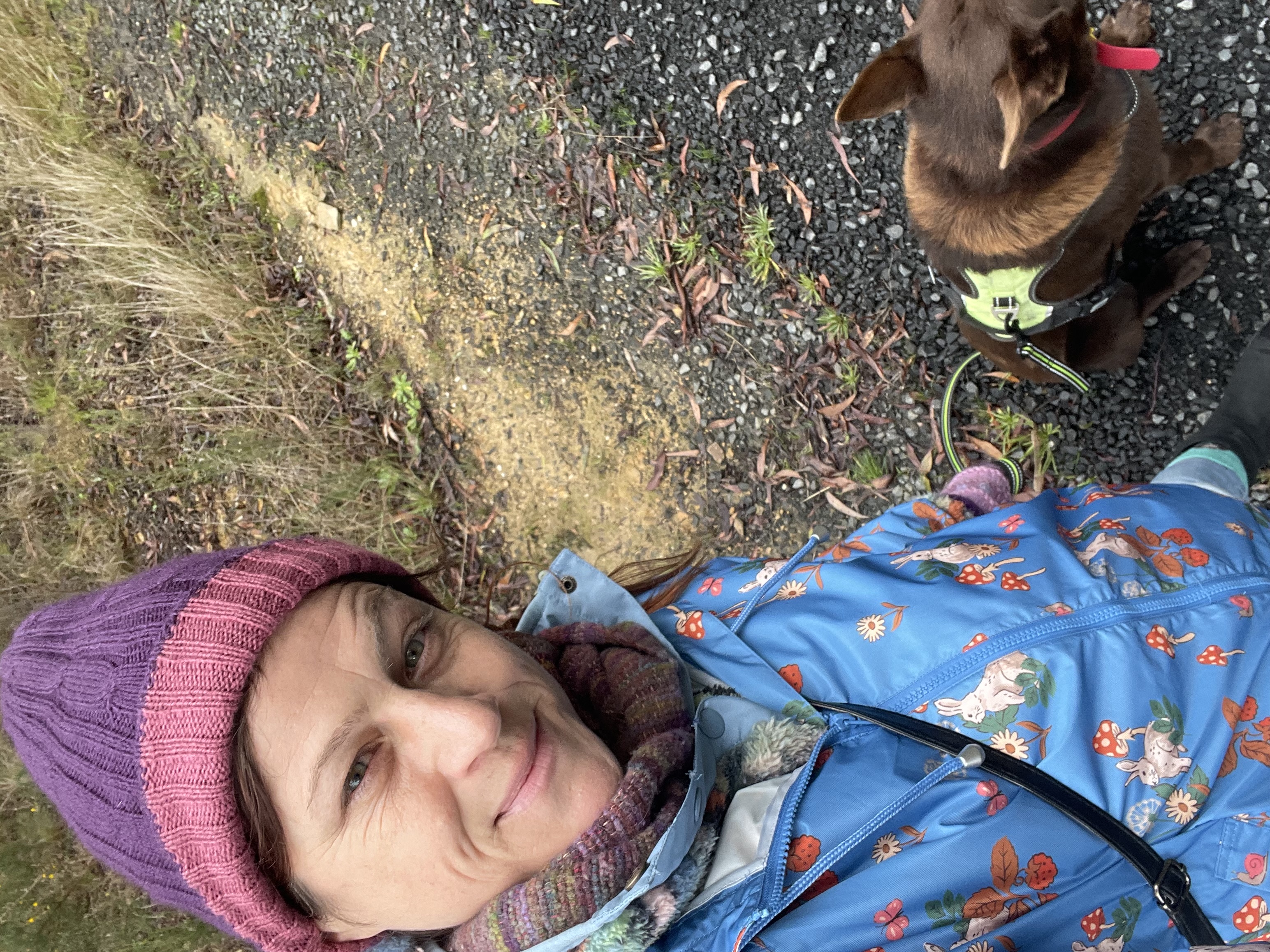 image-8