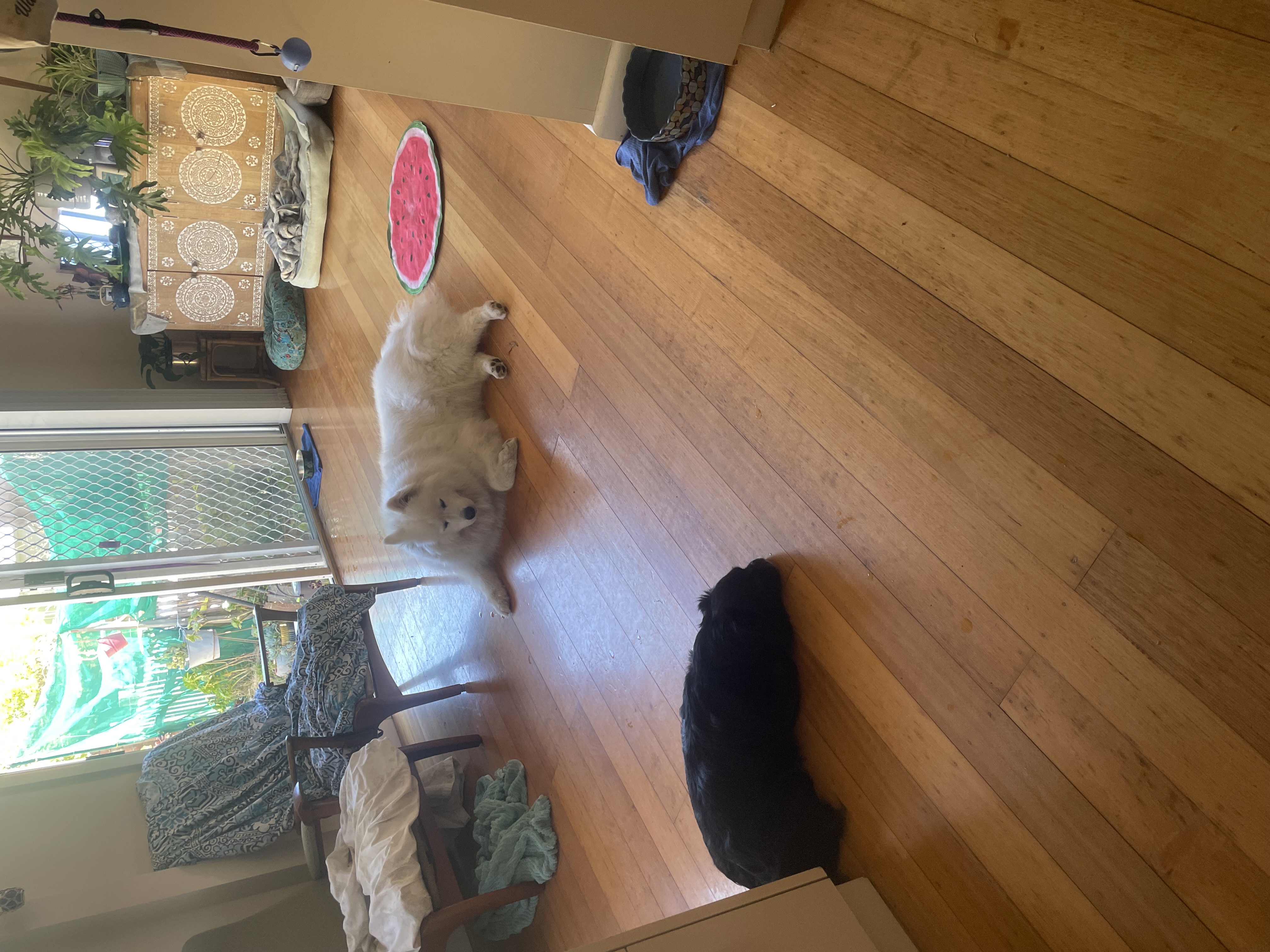 image-20