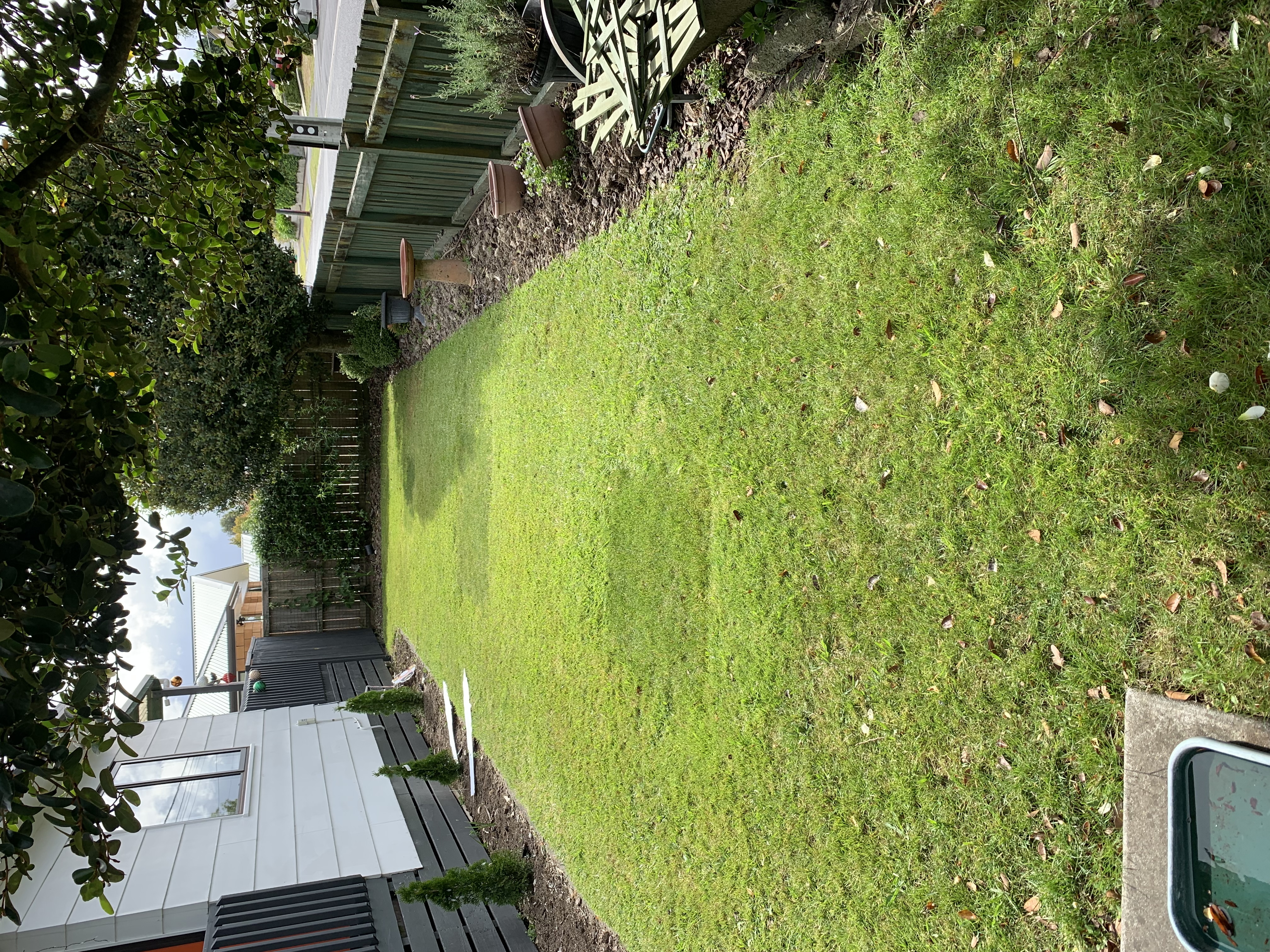 image-27
