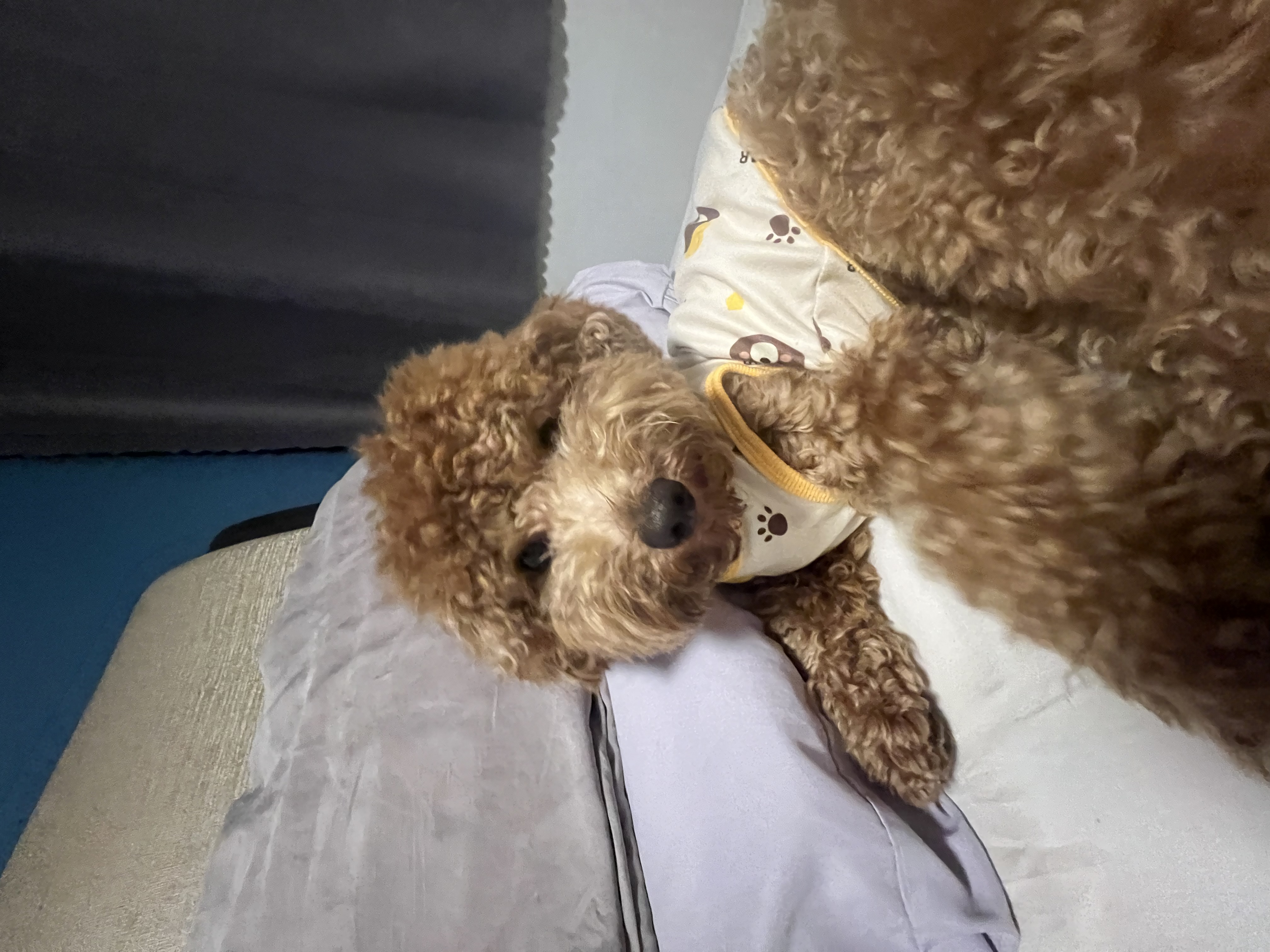 image-13