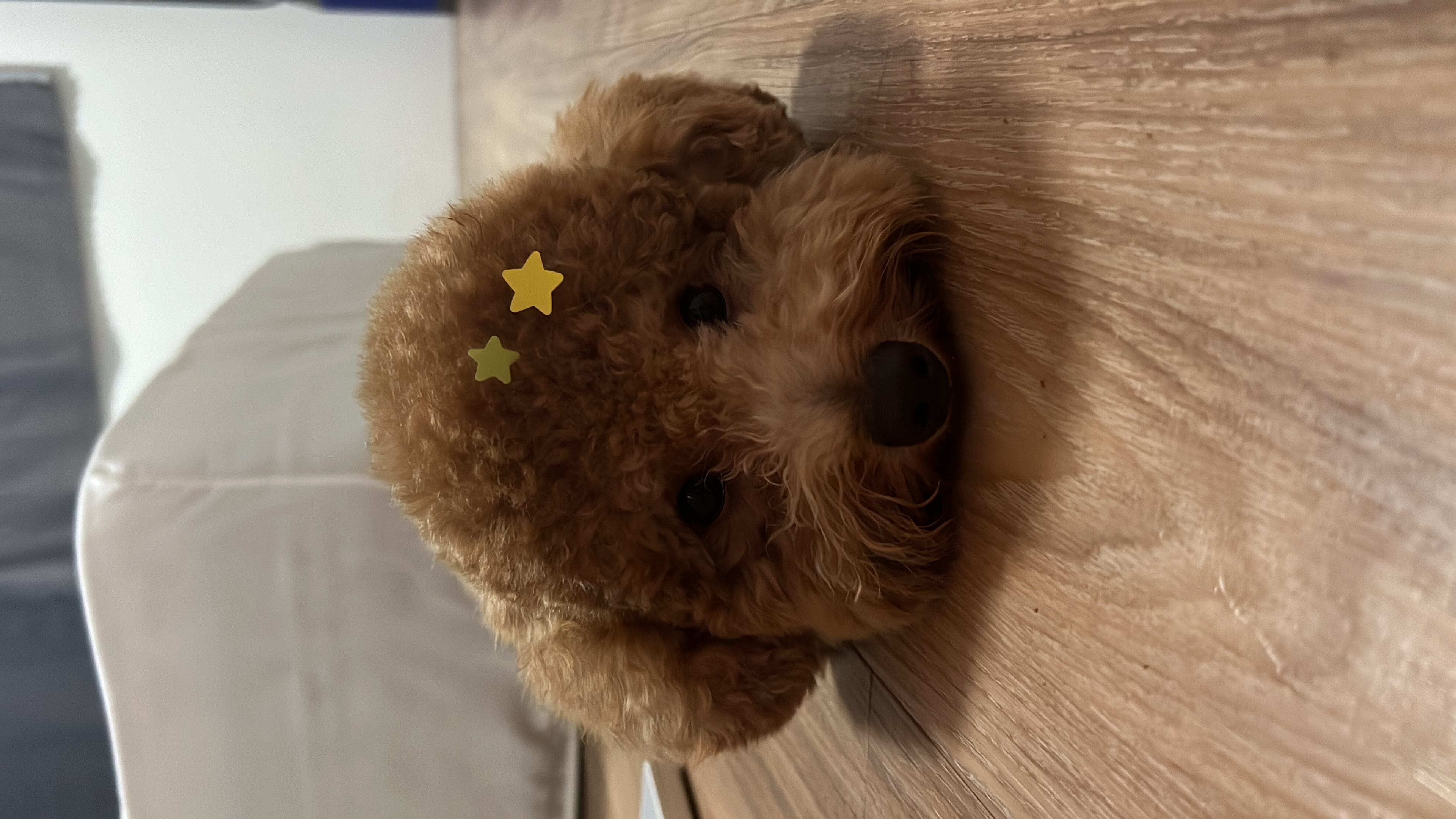 image-6