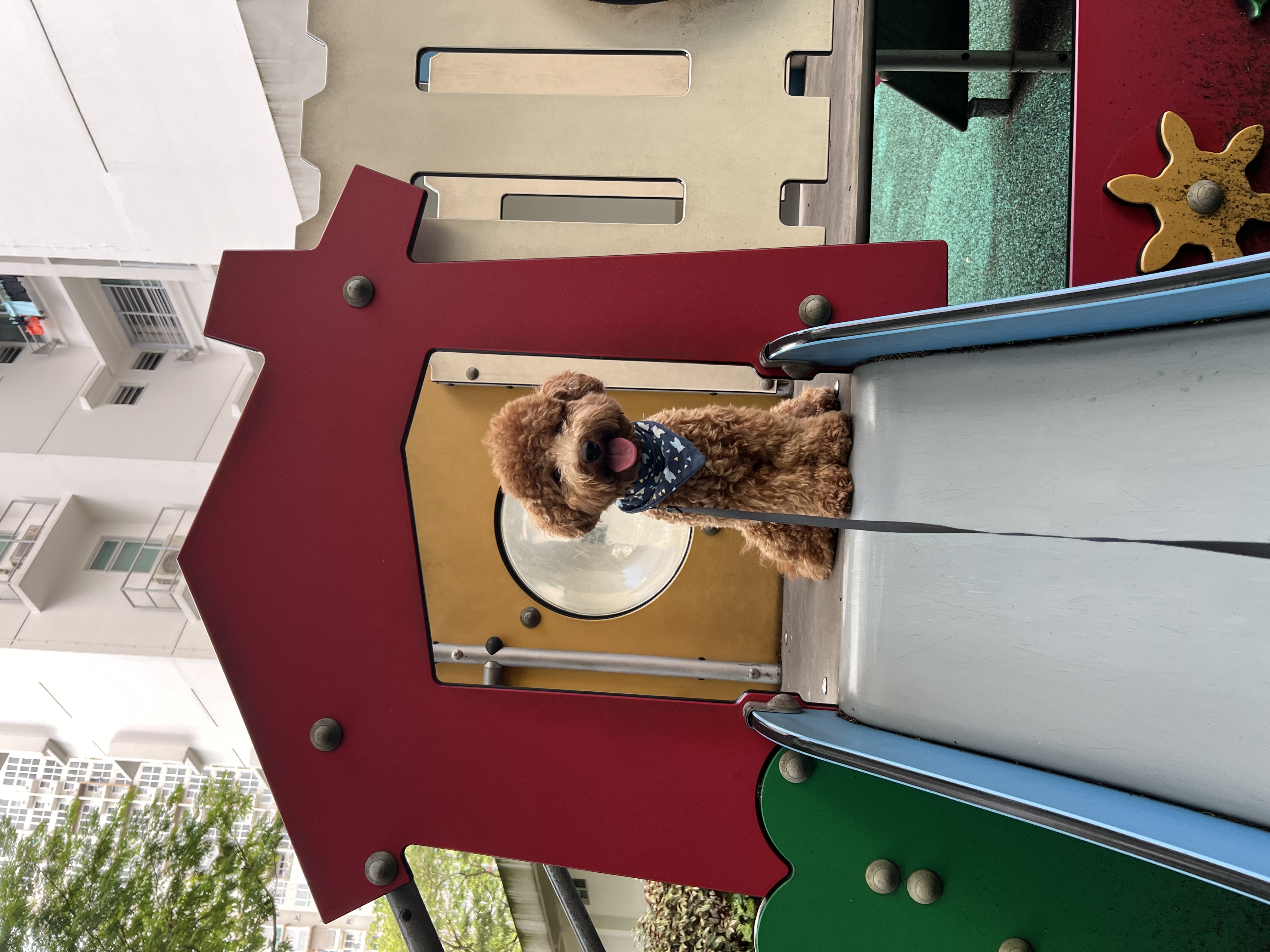 image-8