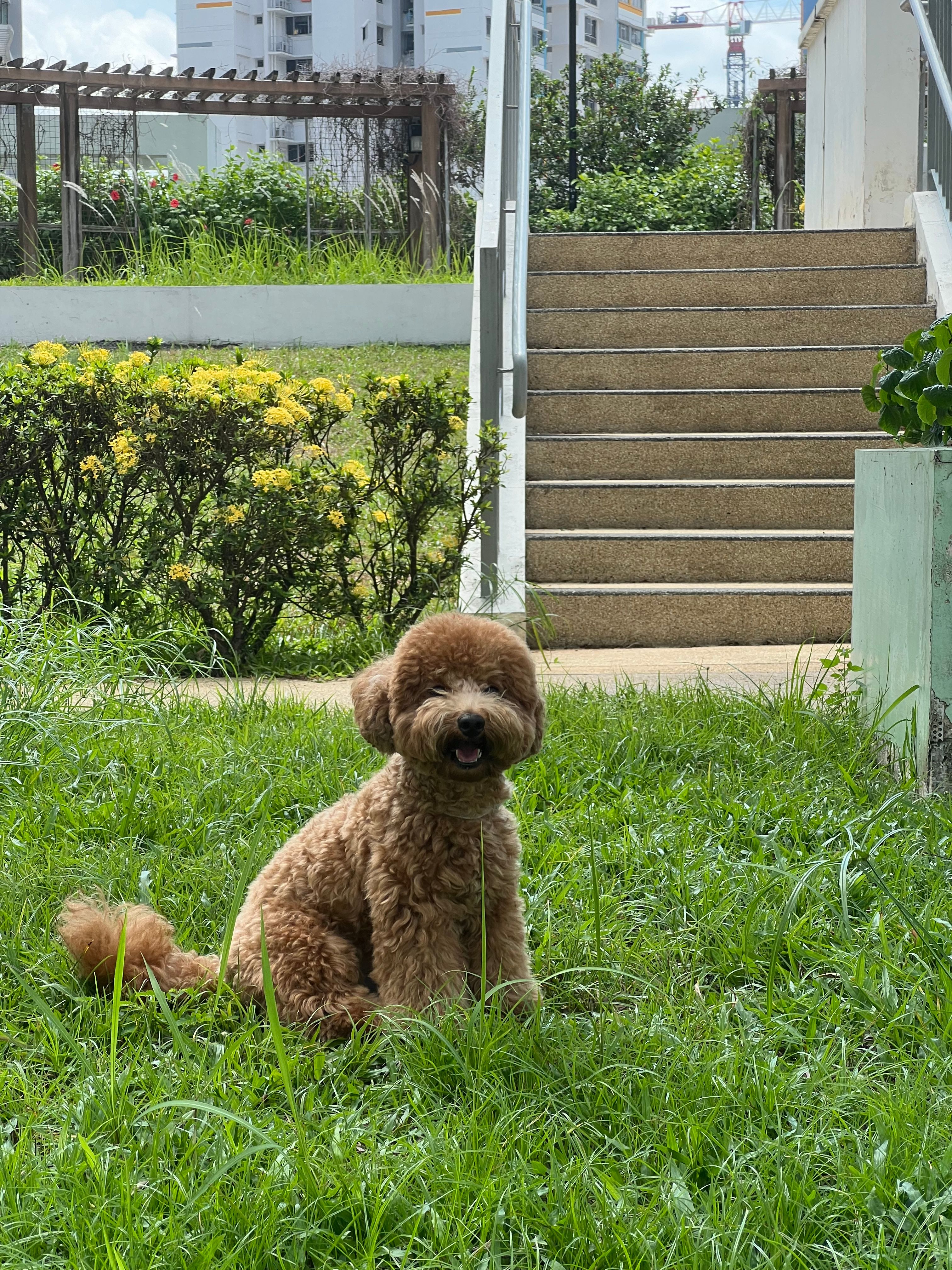 image-18