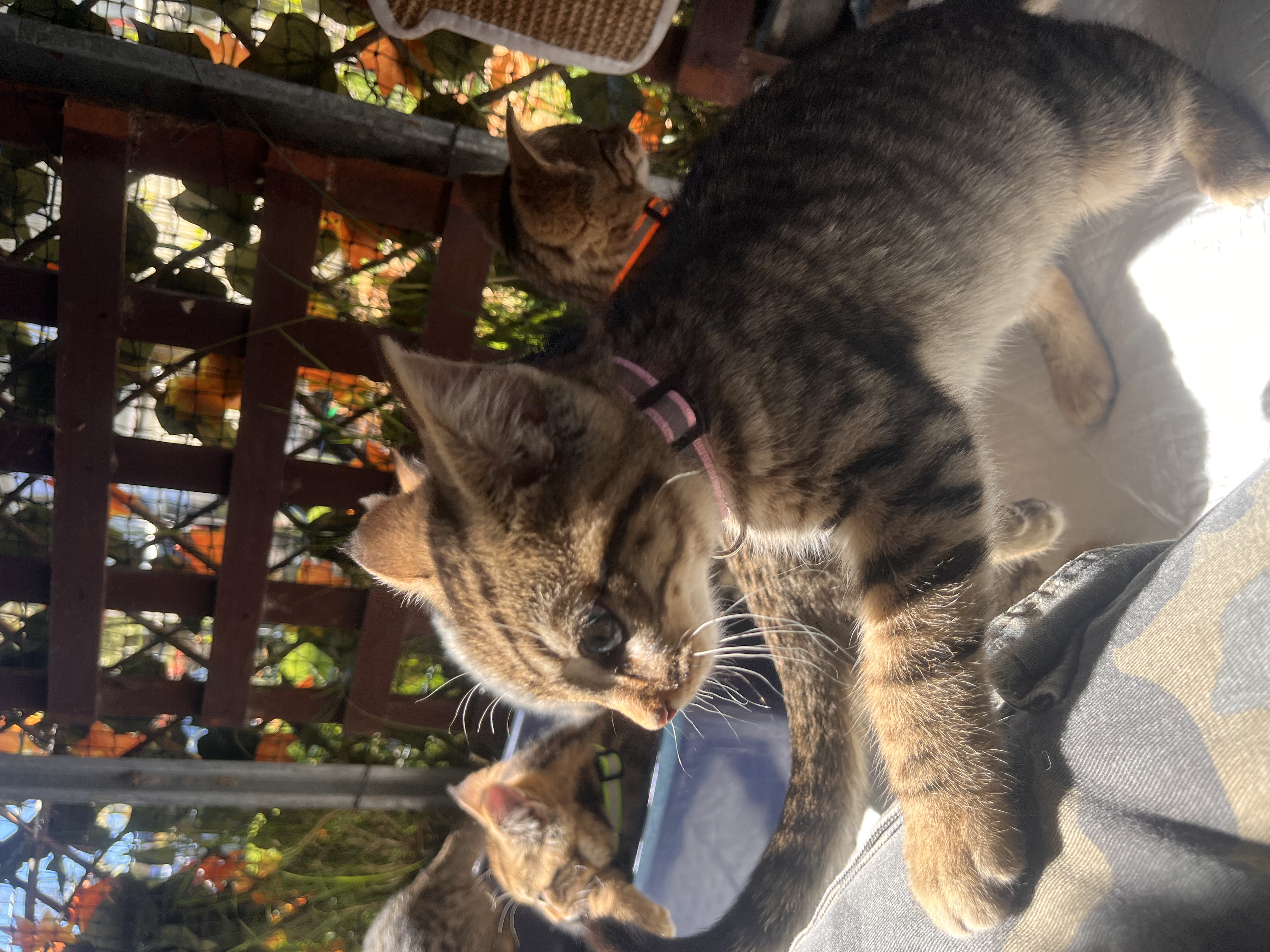 image-8