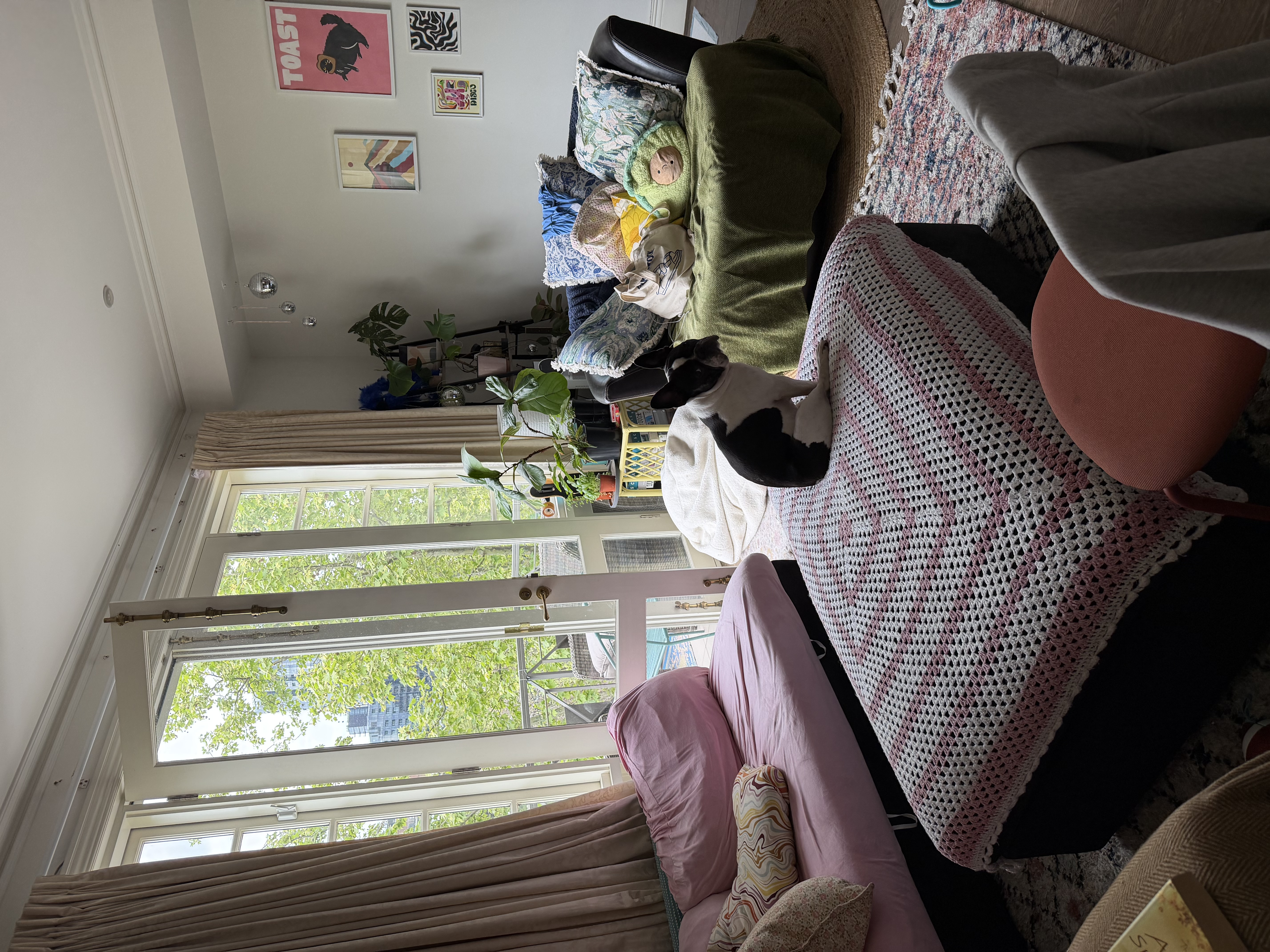 image-20