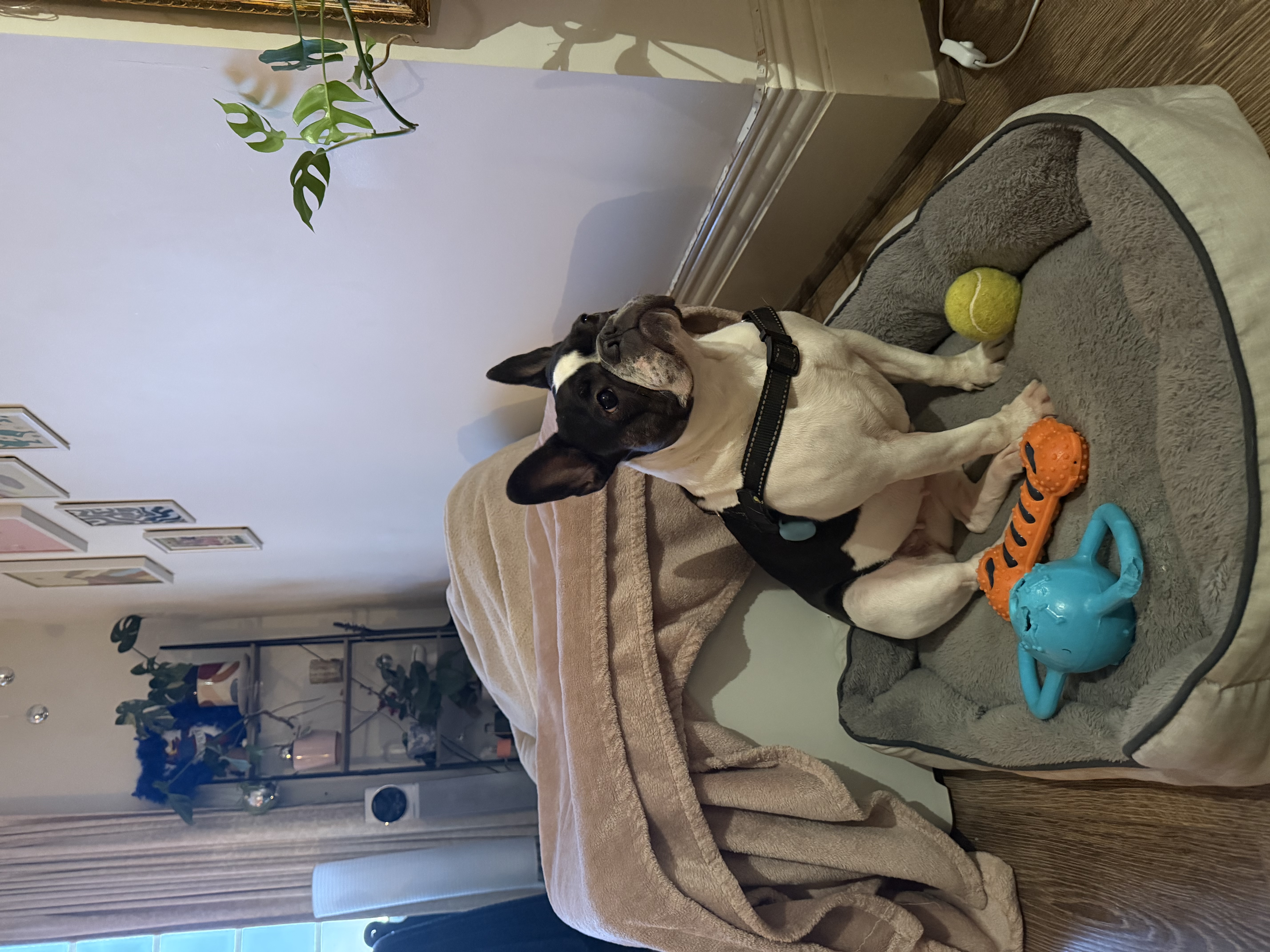 image-14