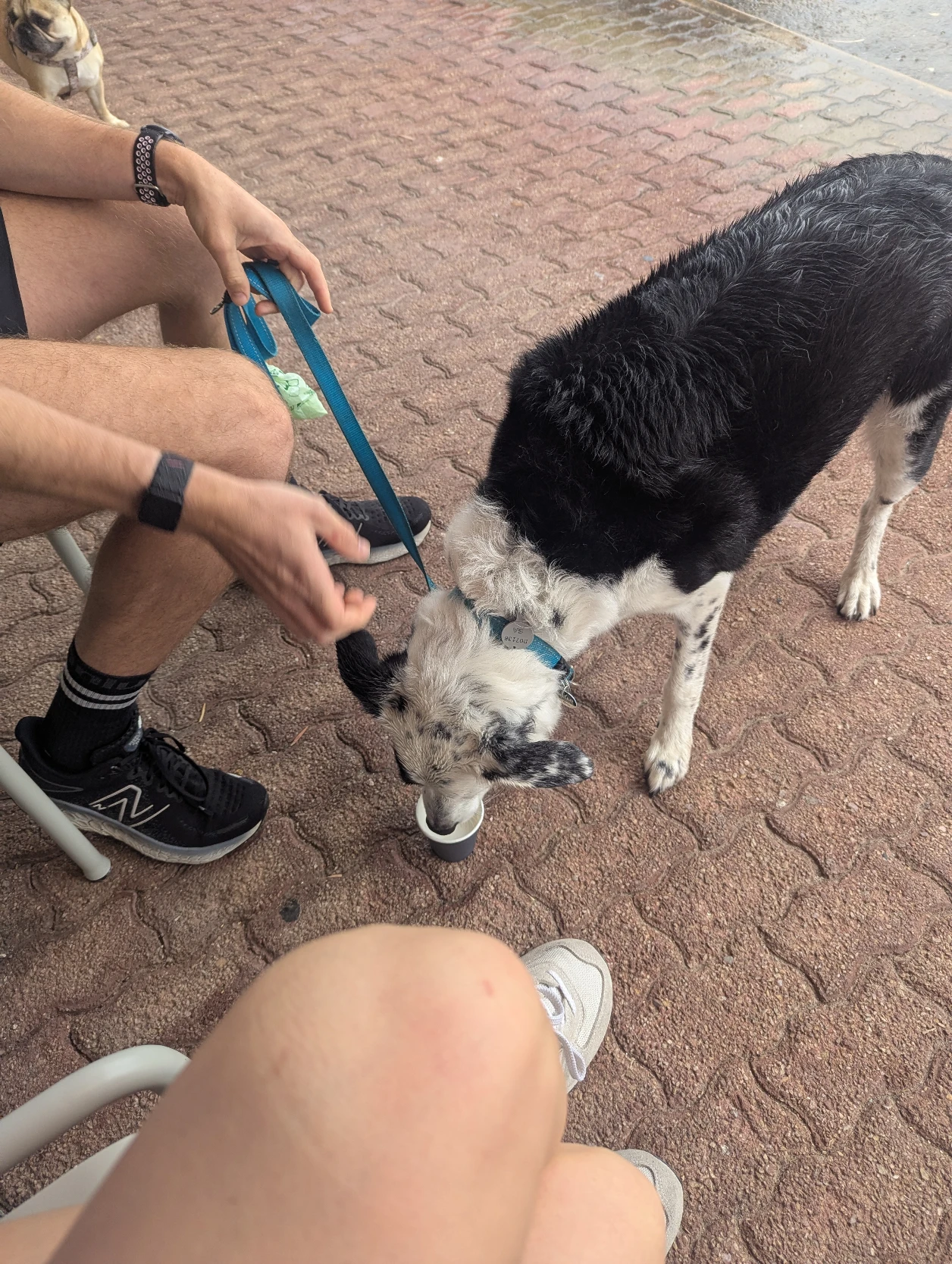 image-11