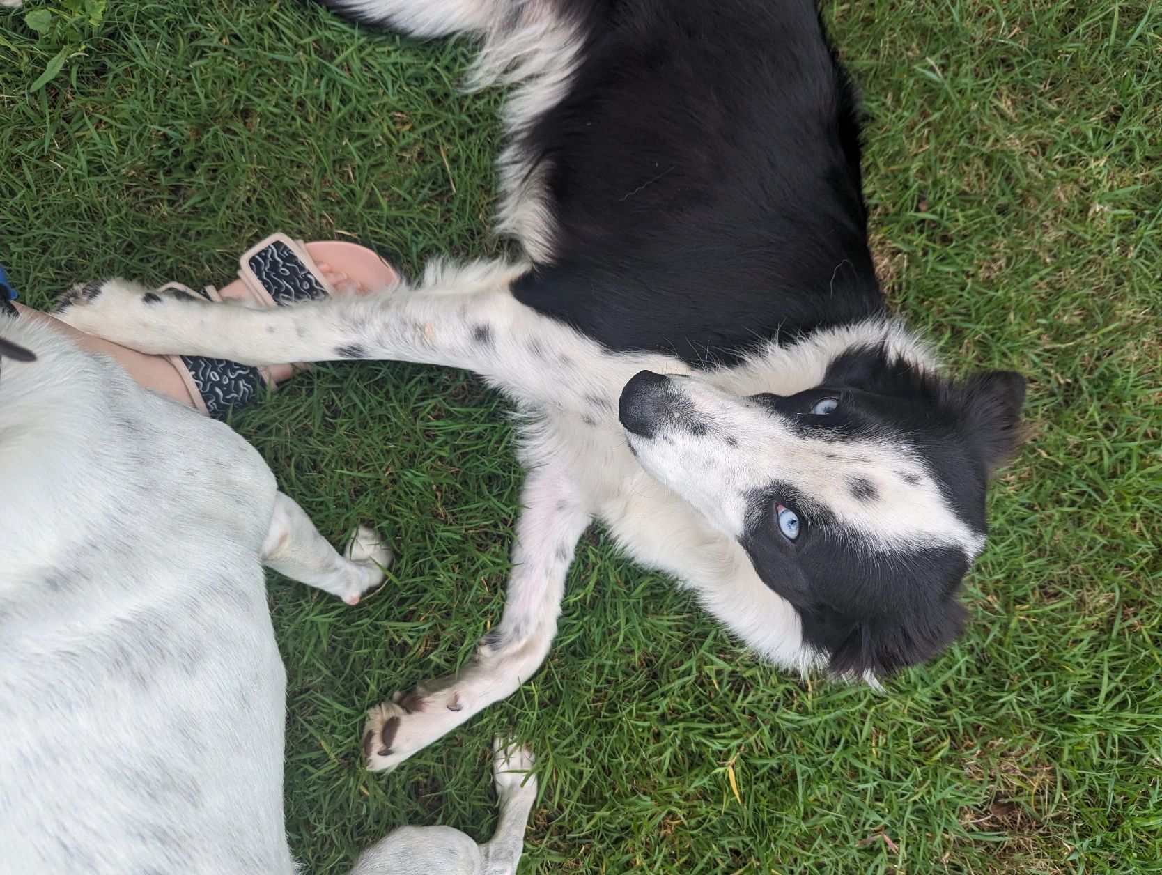 image-6