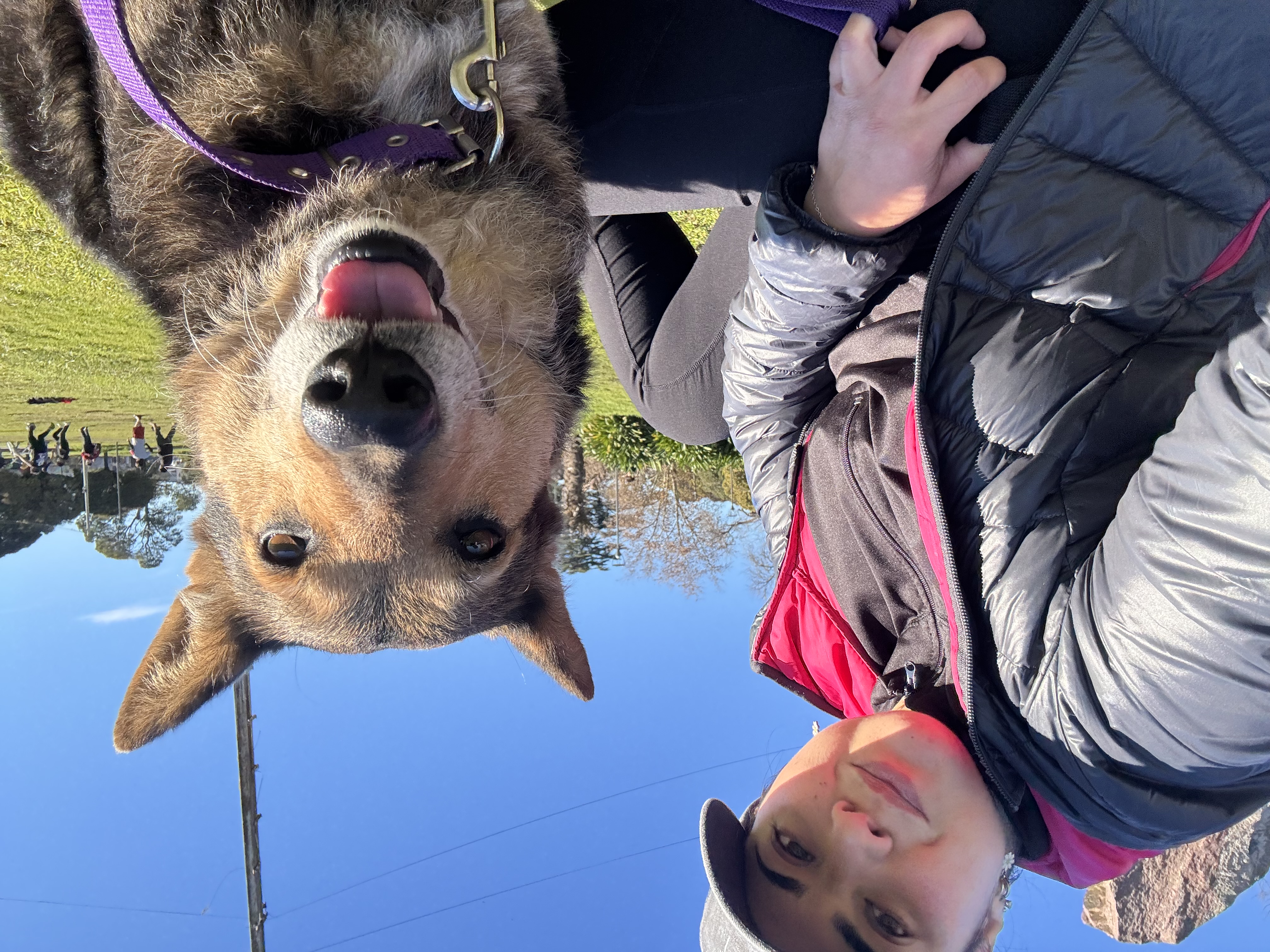 image-4