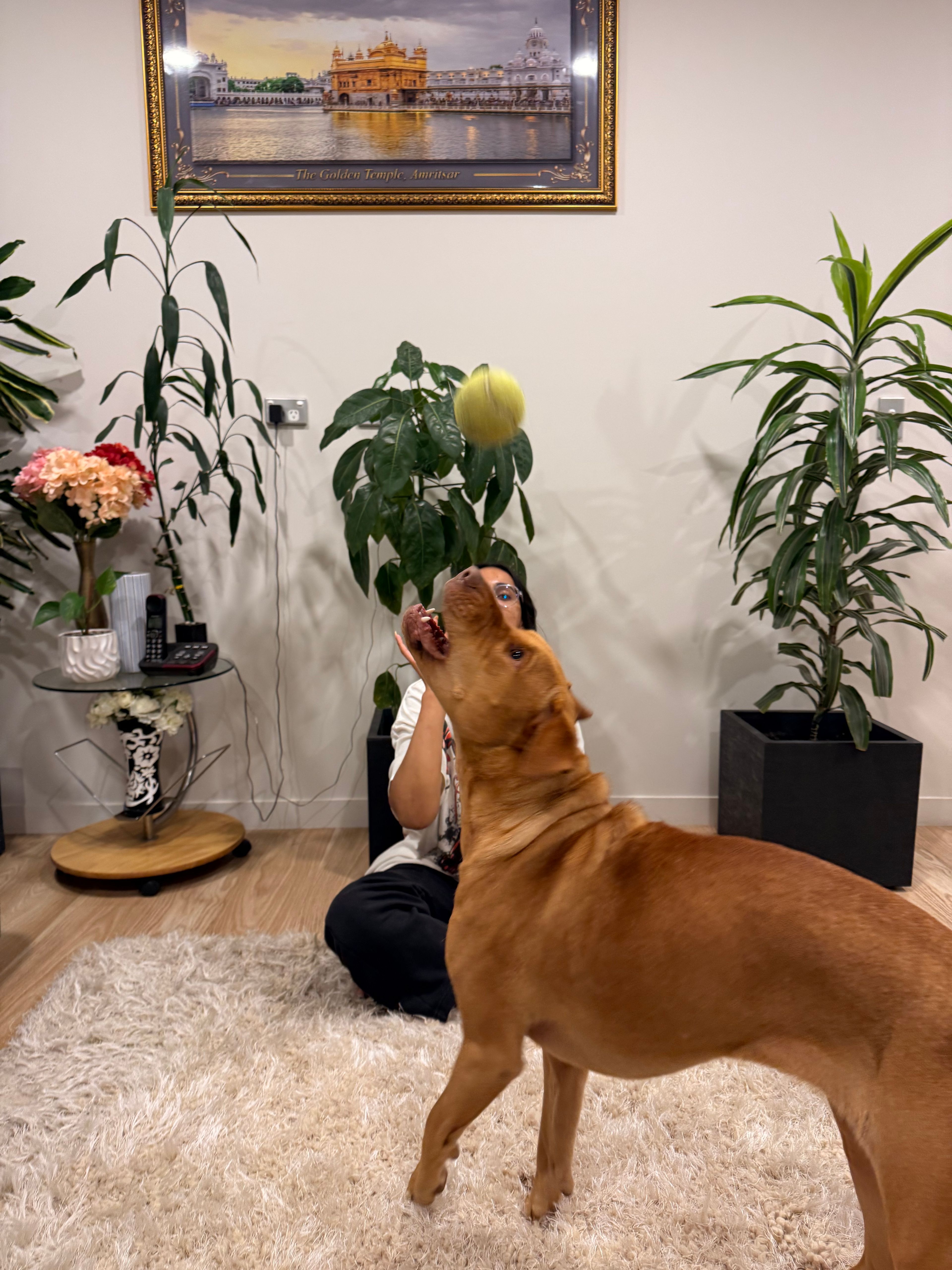 image-23