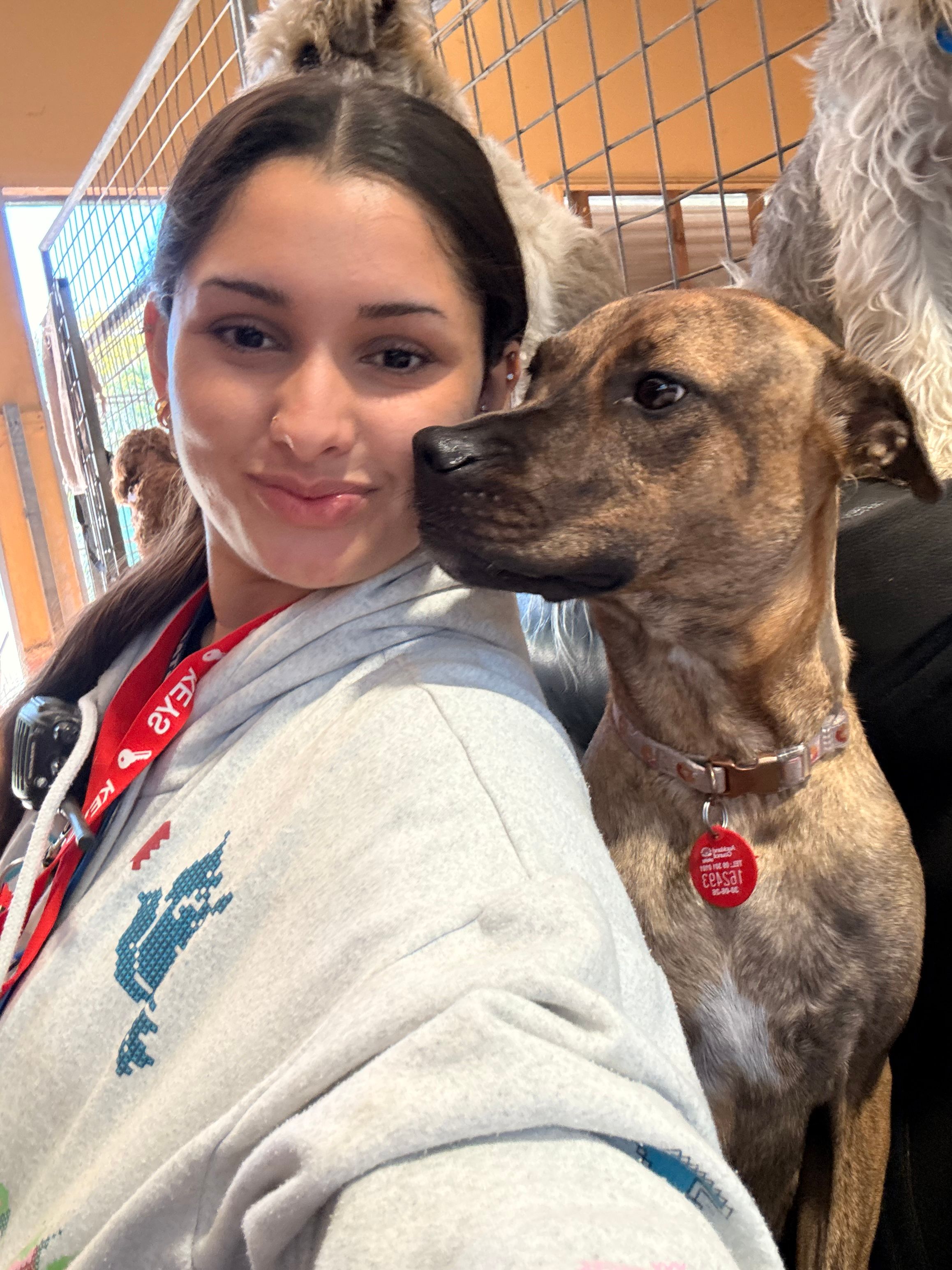 image-19