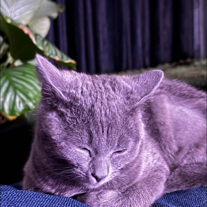 Luna
