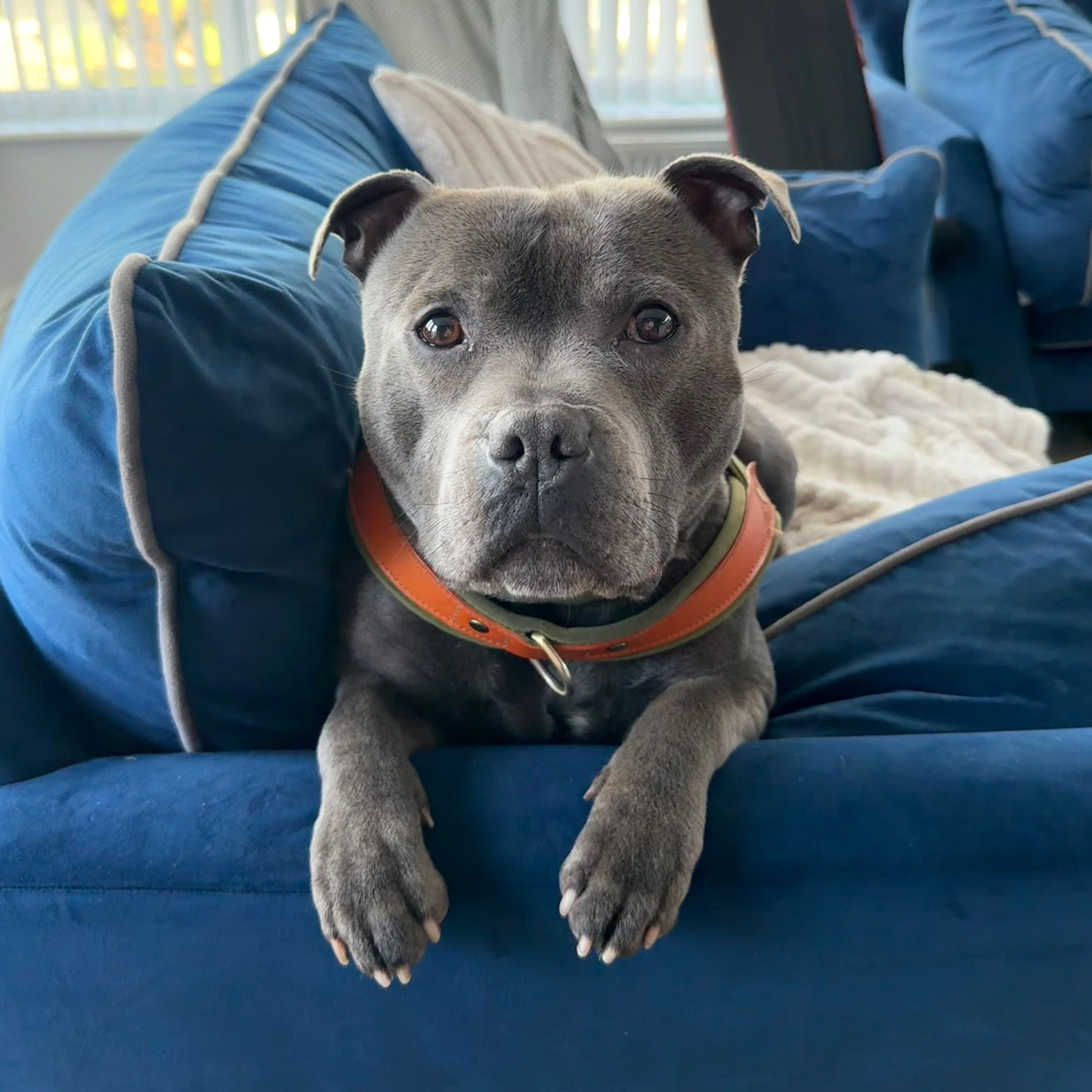 Samson