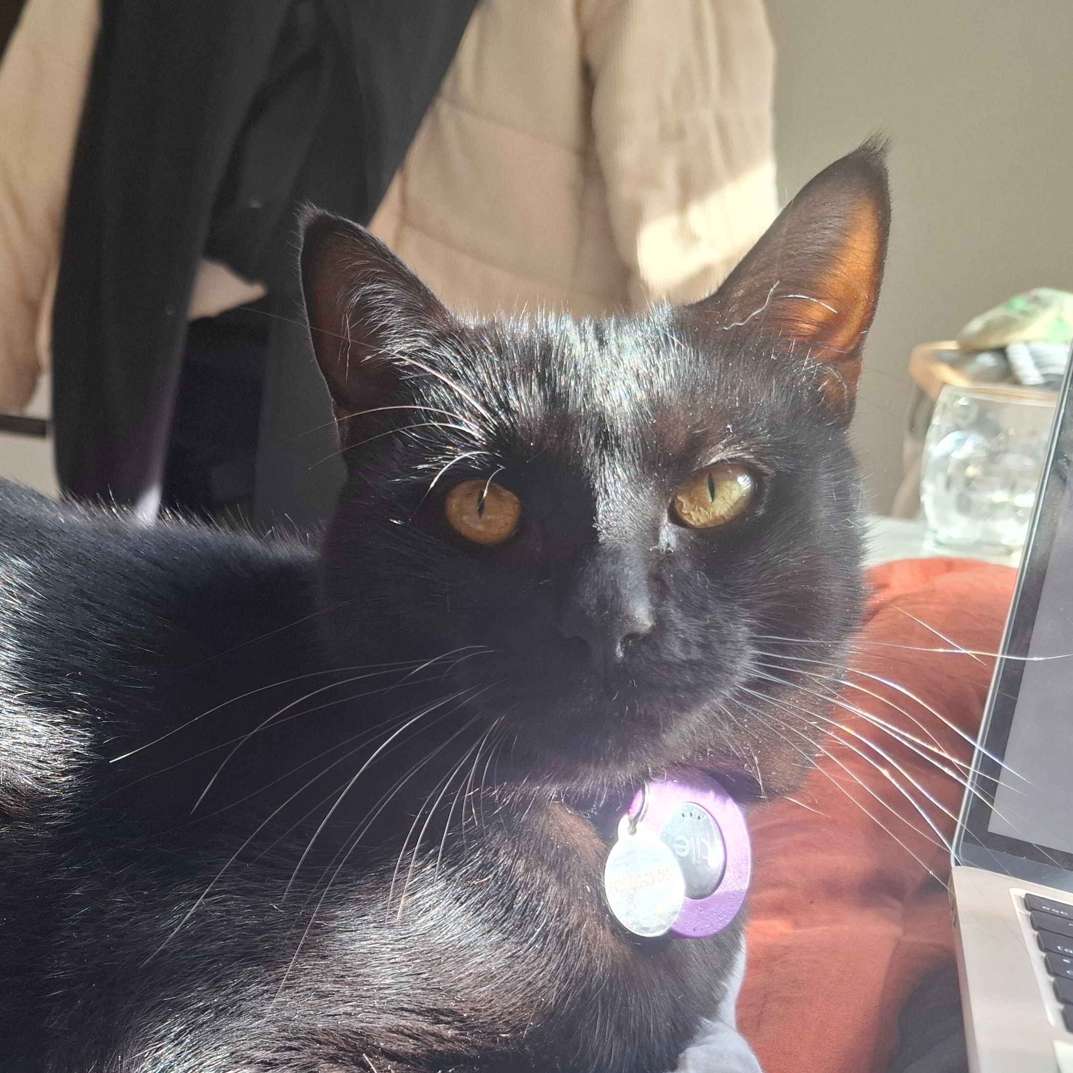 Salem