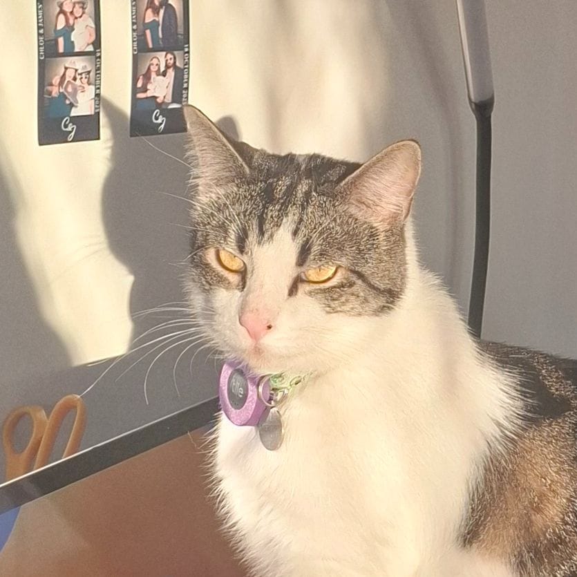 Mercury