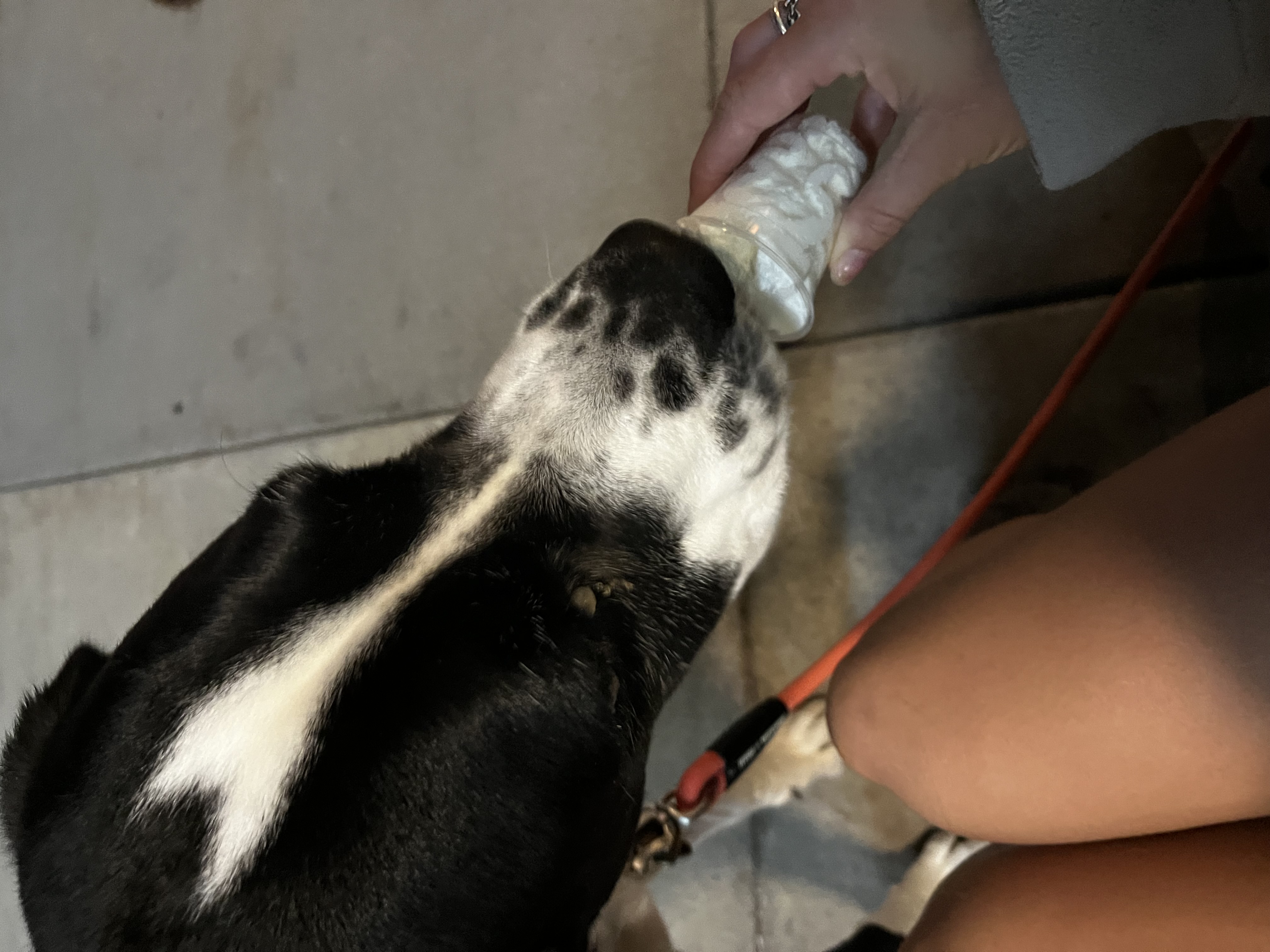 image-6