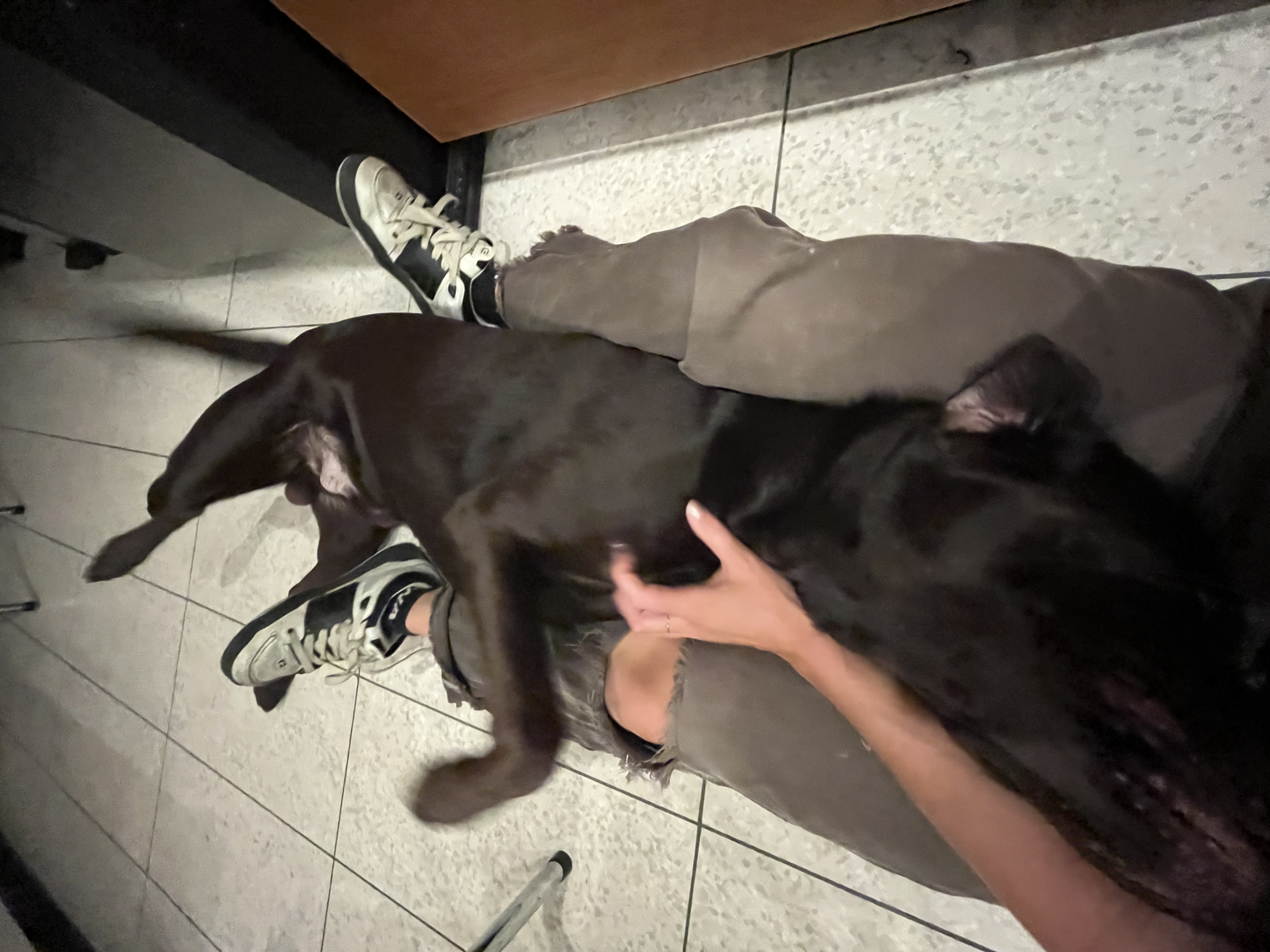 image-7