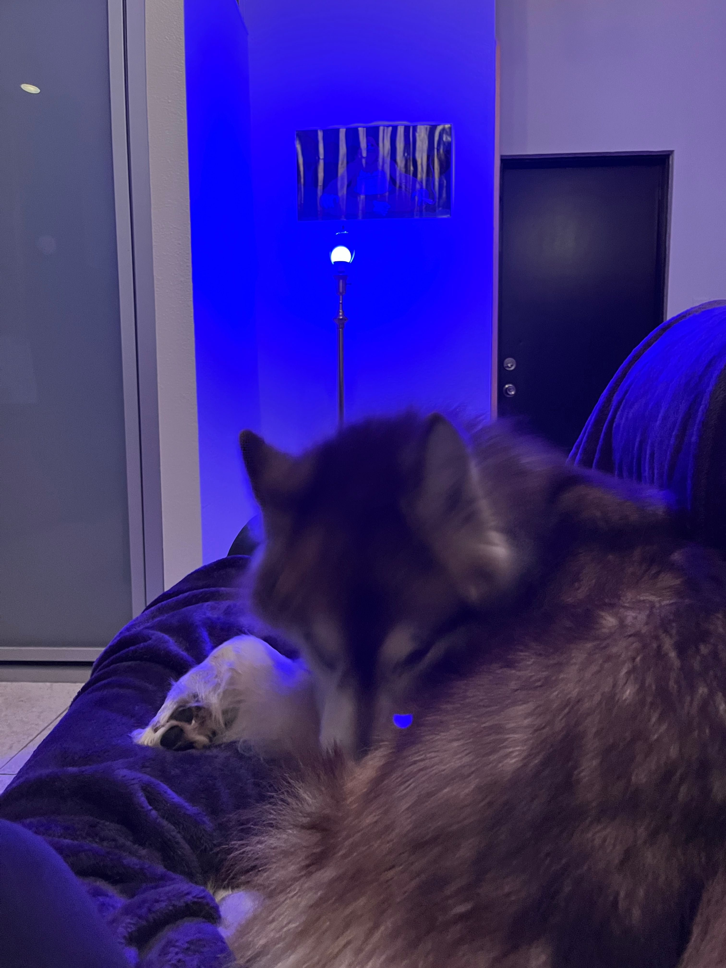 image-10