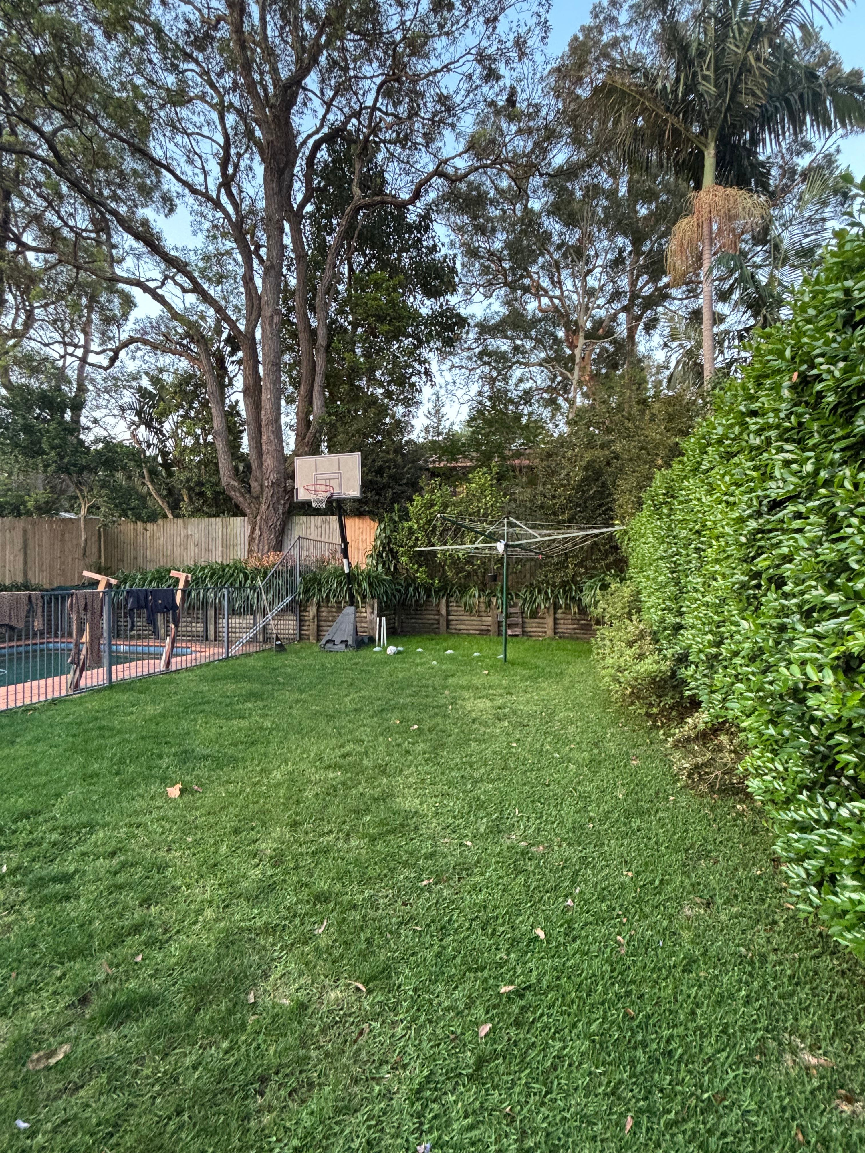 image-10