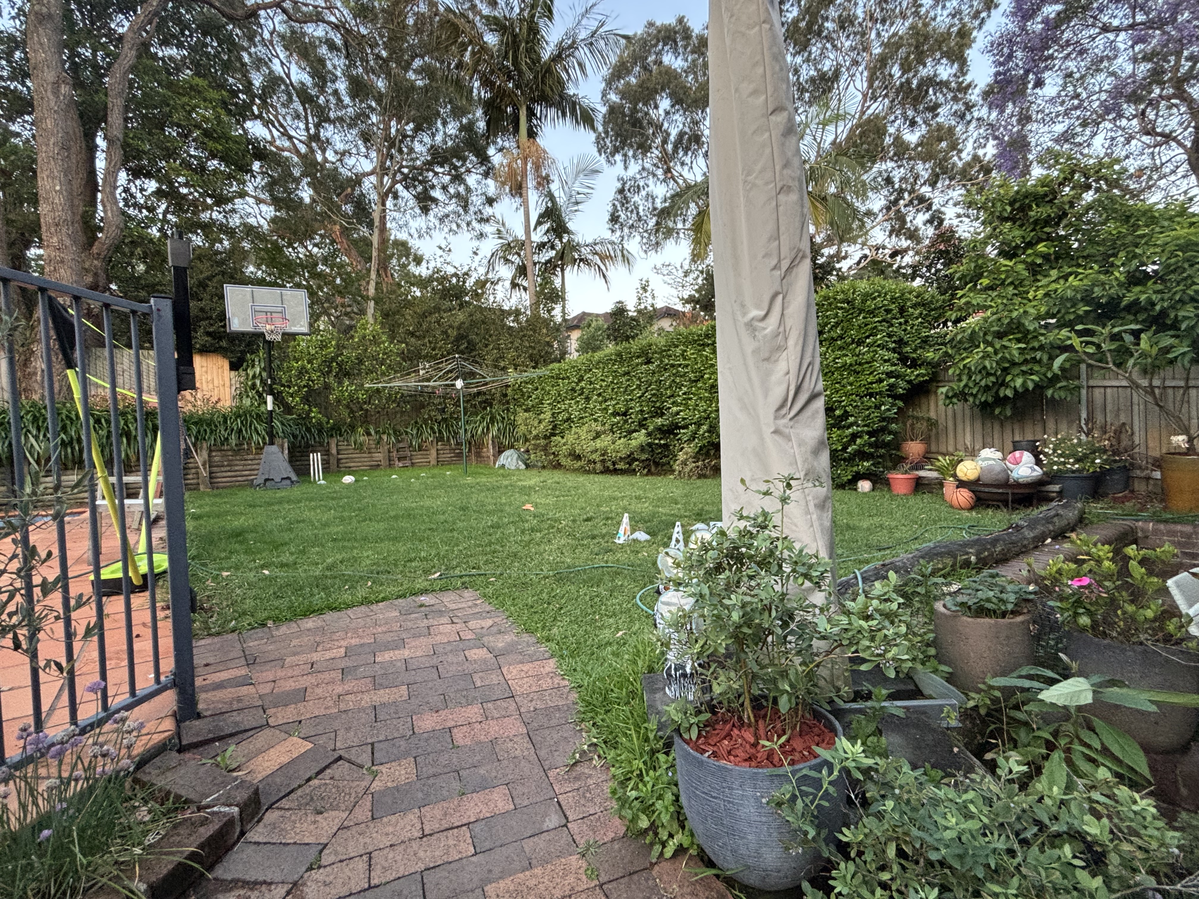 image-11