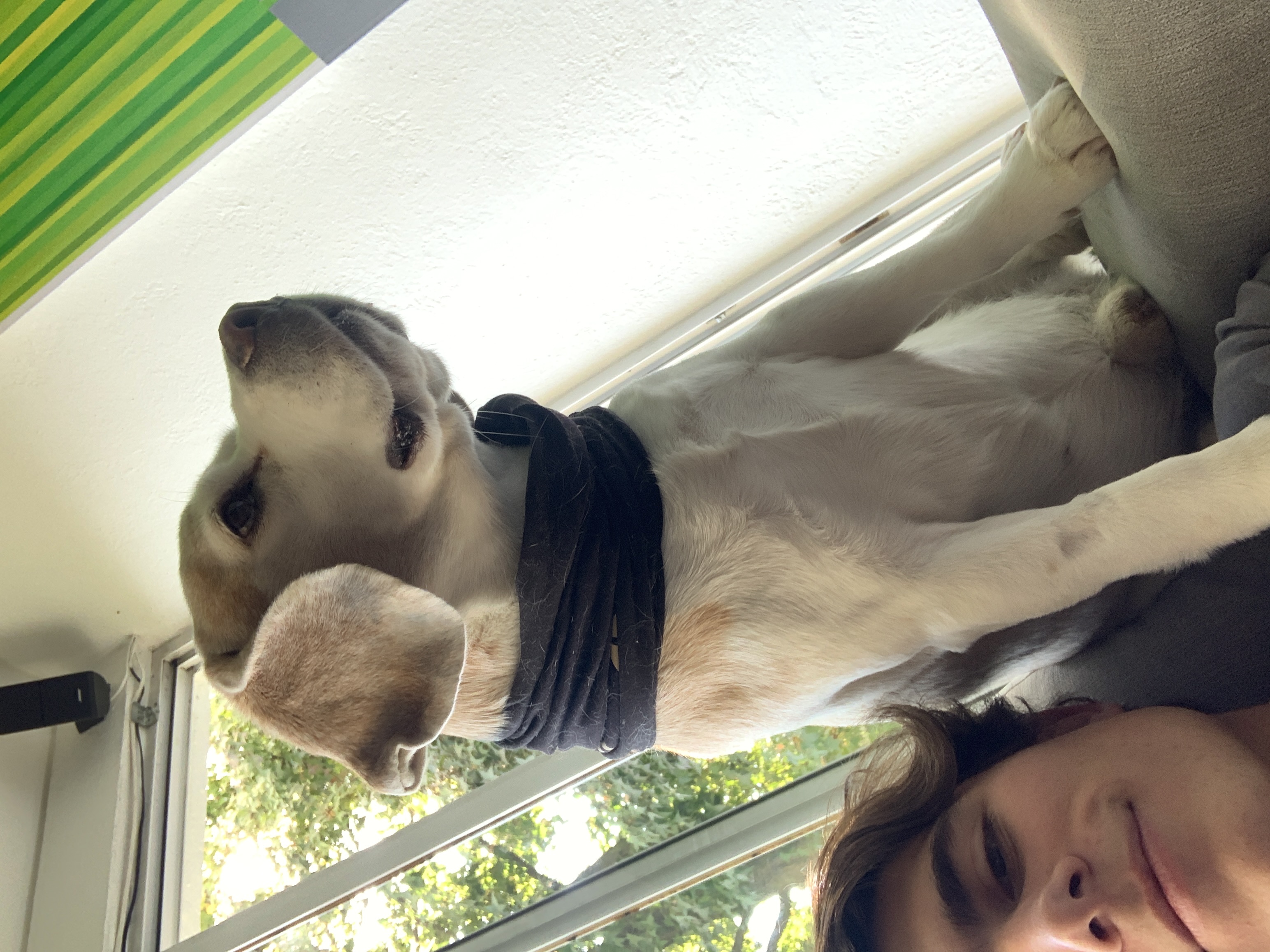 image-8