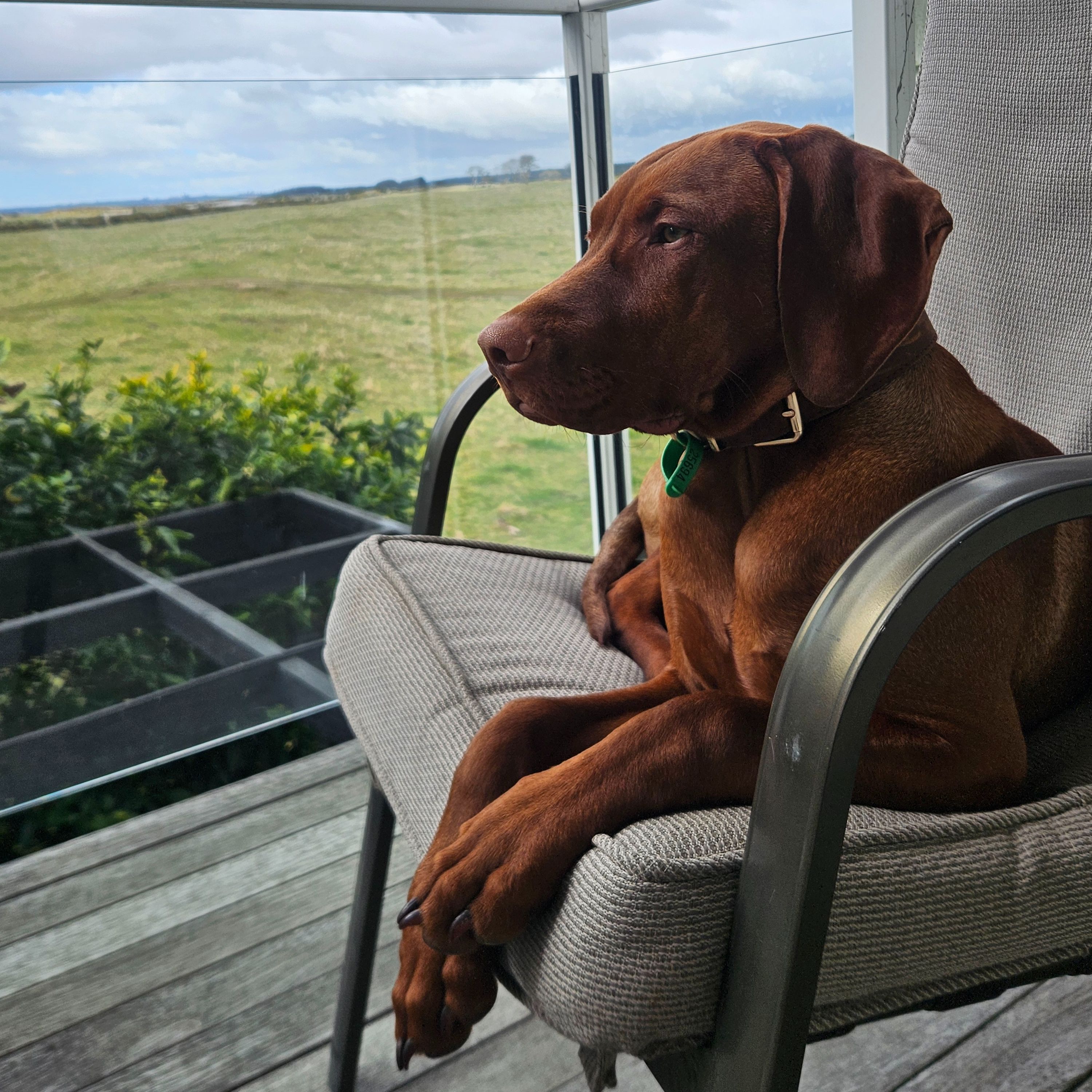 Rusty