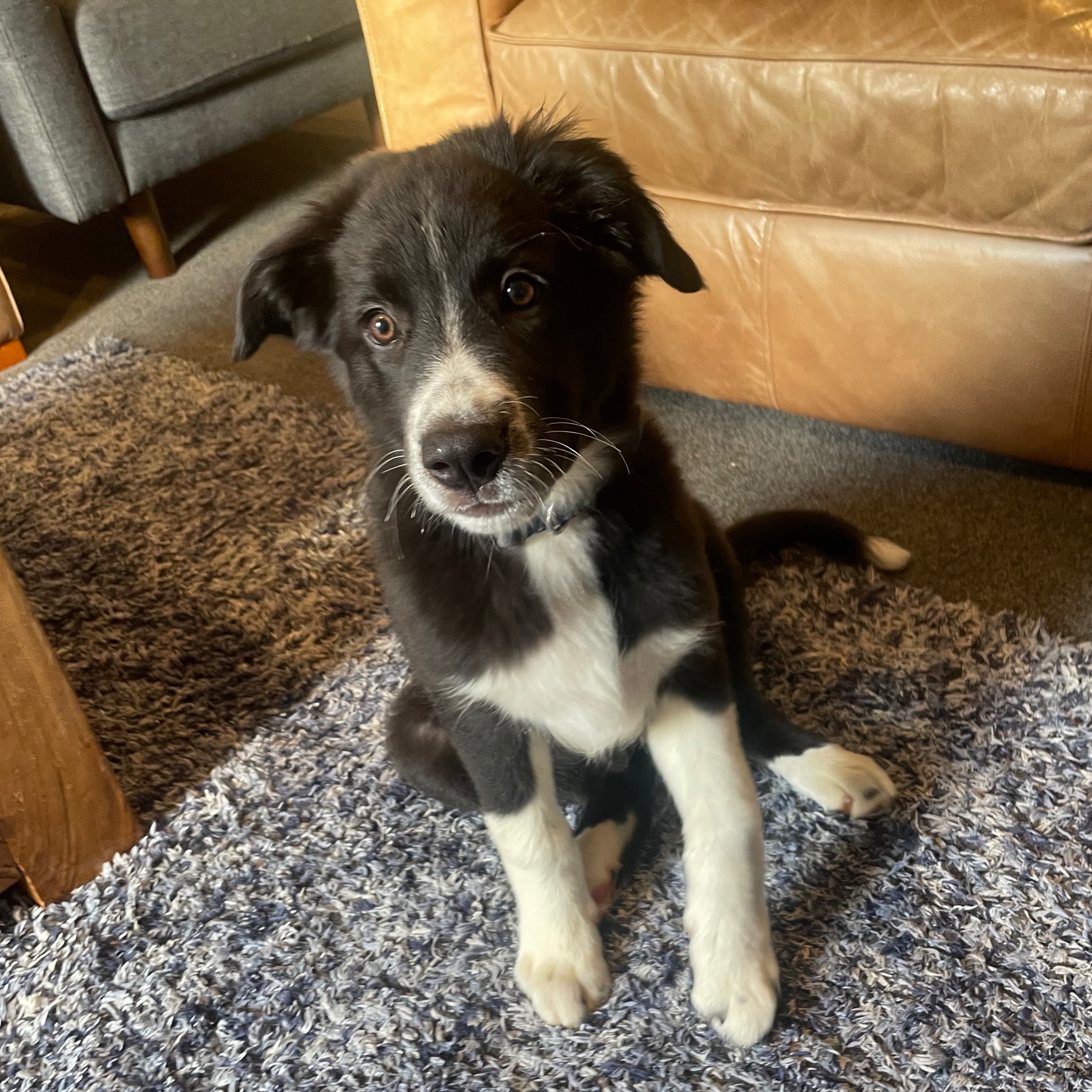 Sam