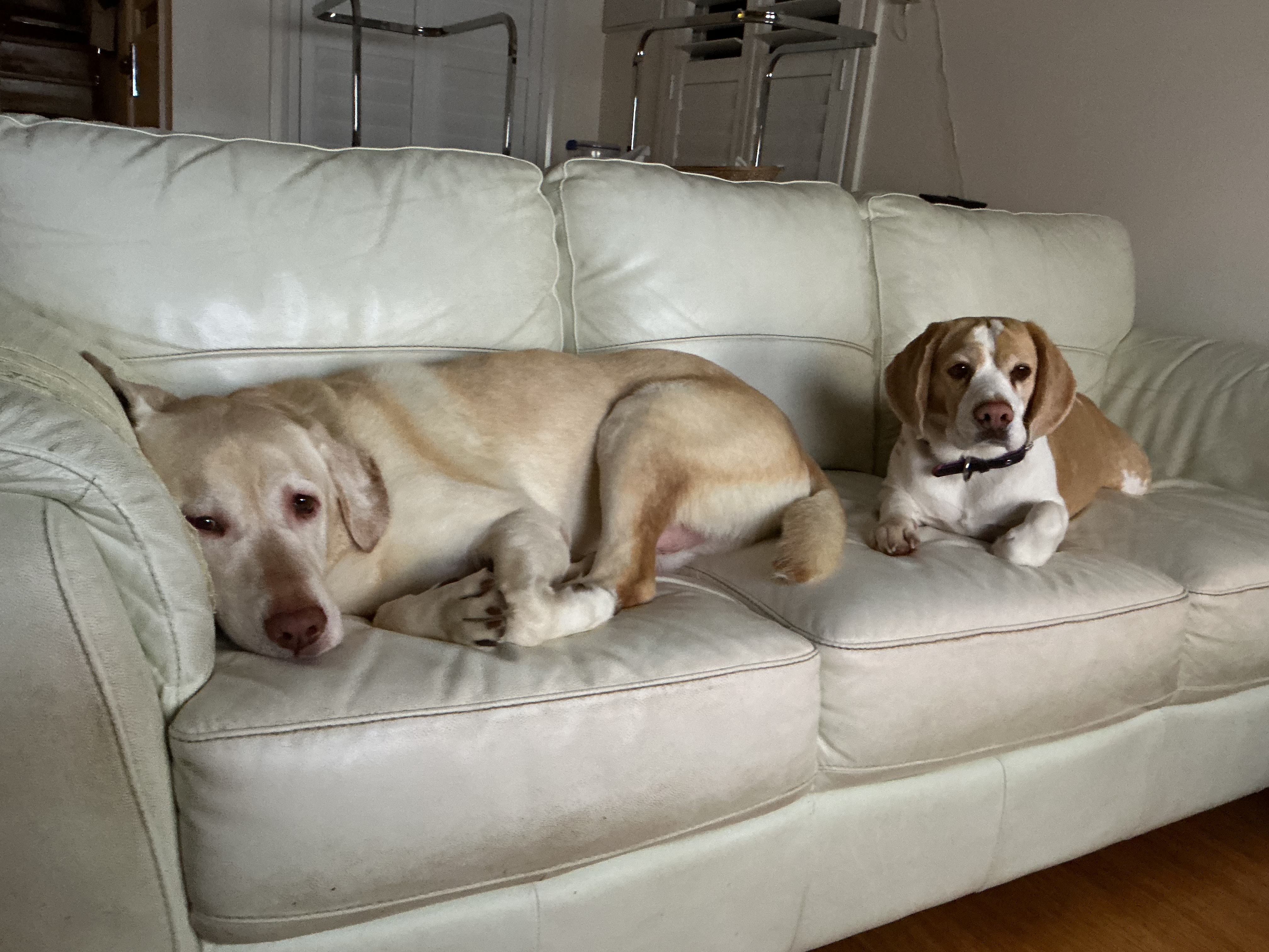 image-33