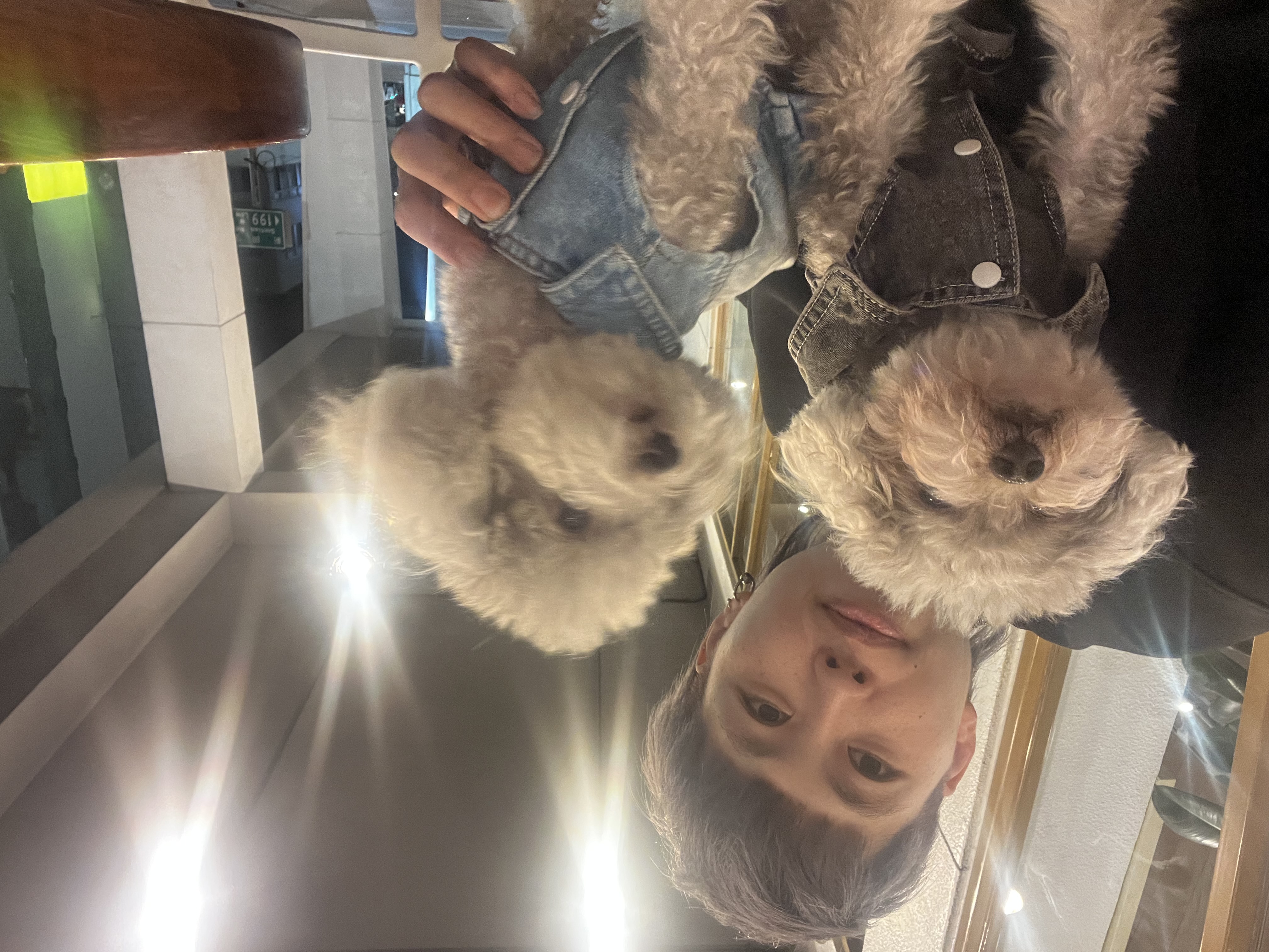 image-2