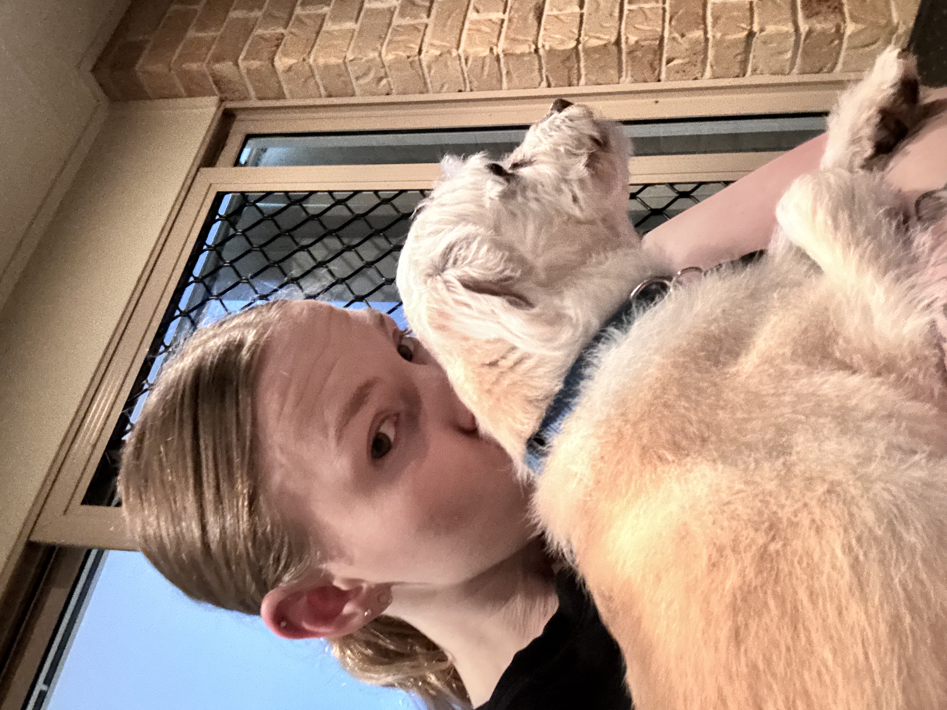 image-5