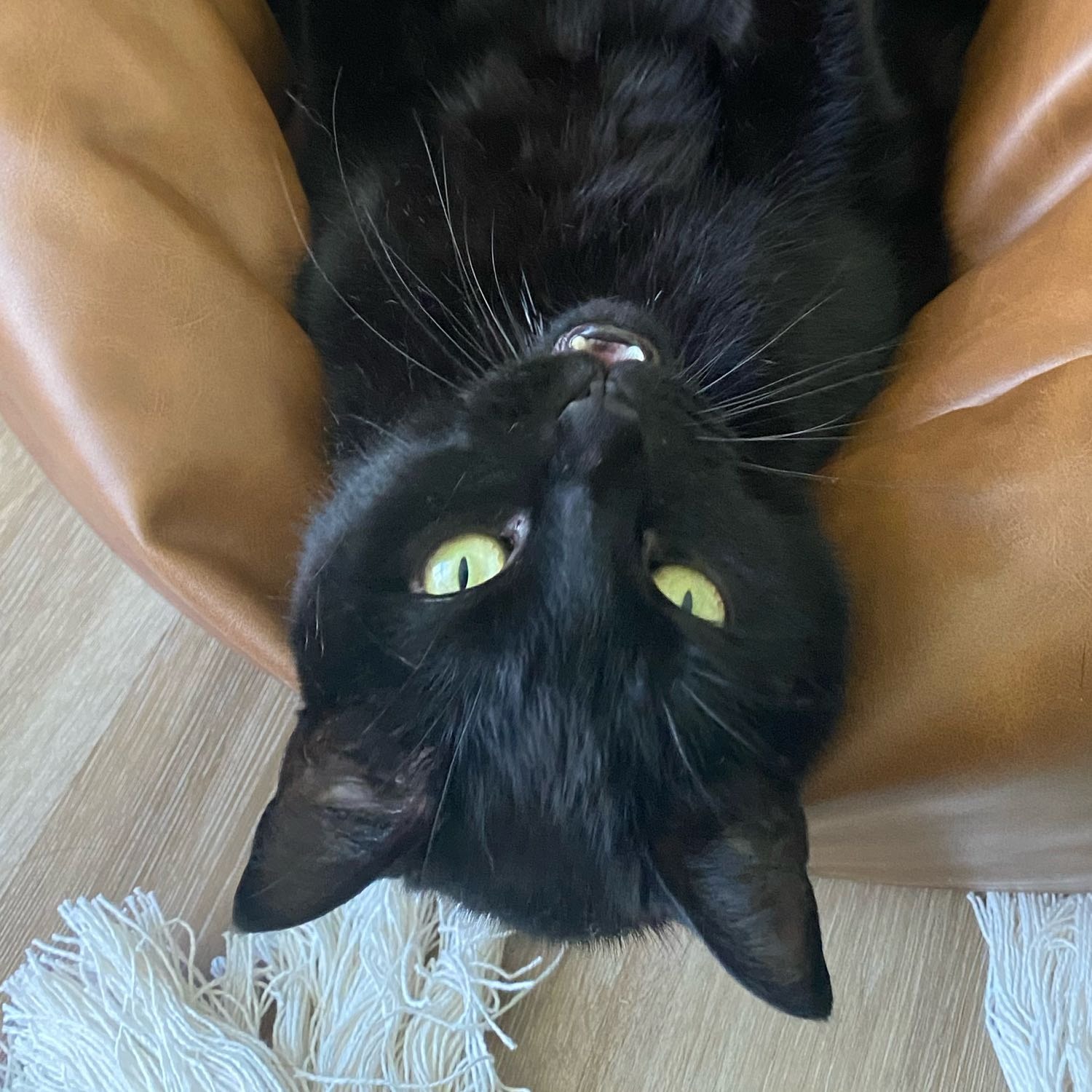 mika 