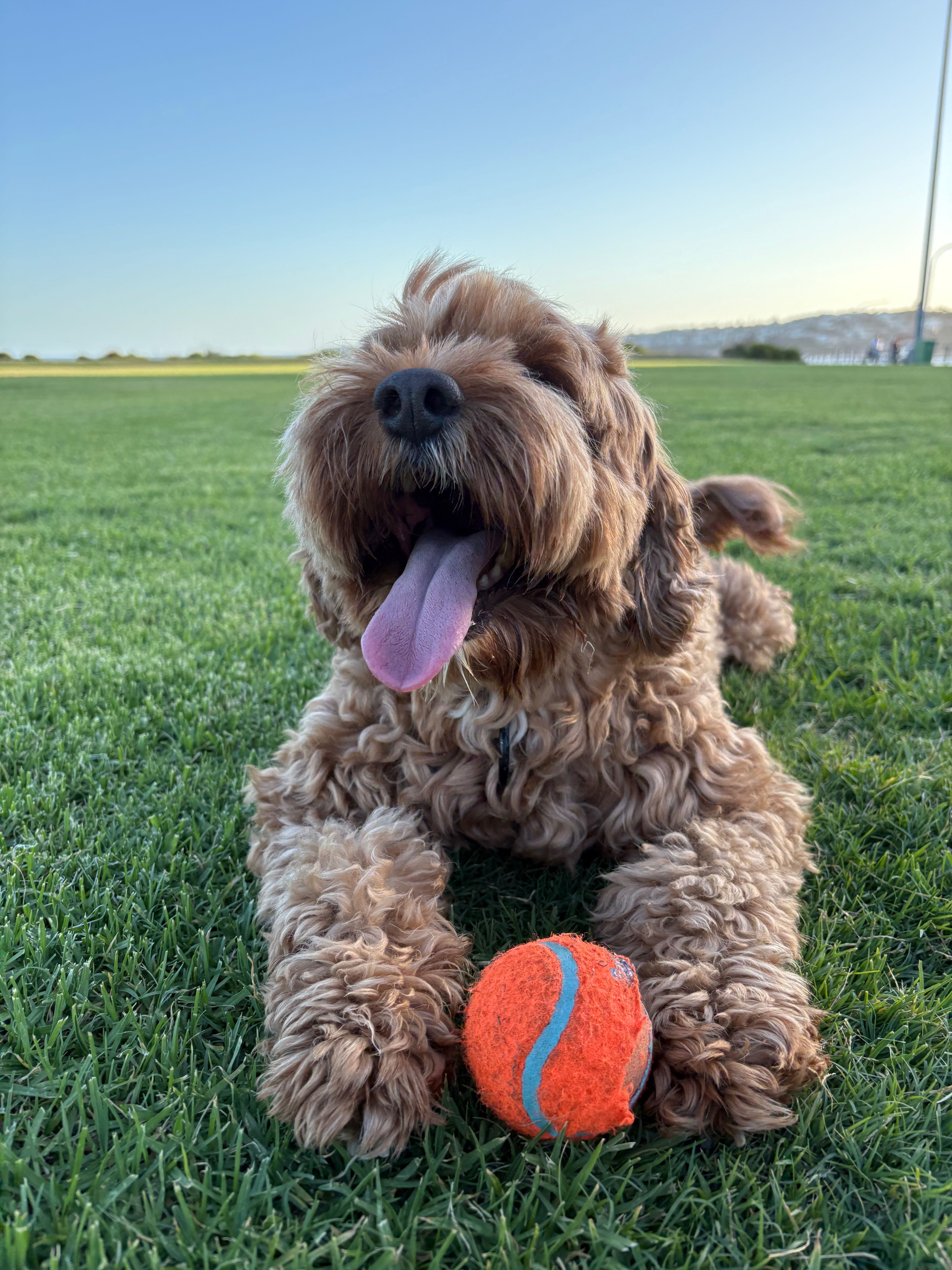 image-9