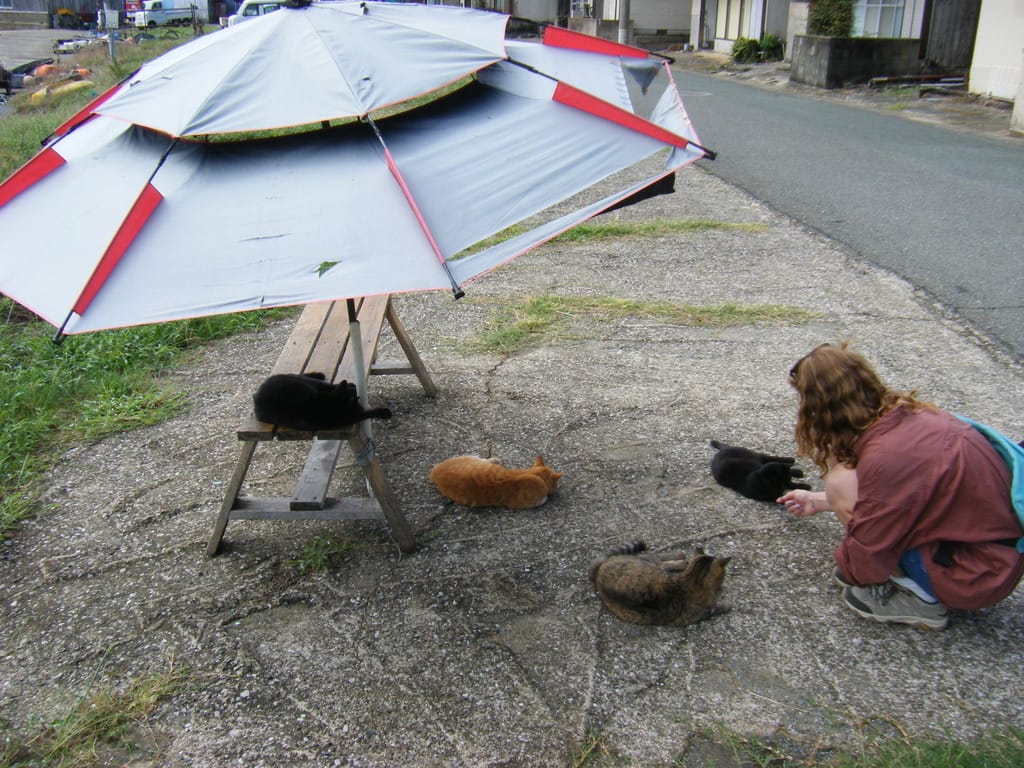 image-3