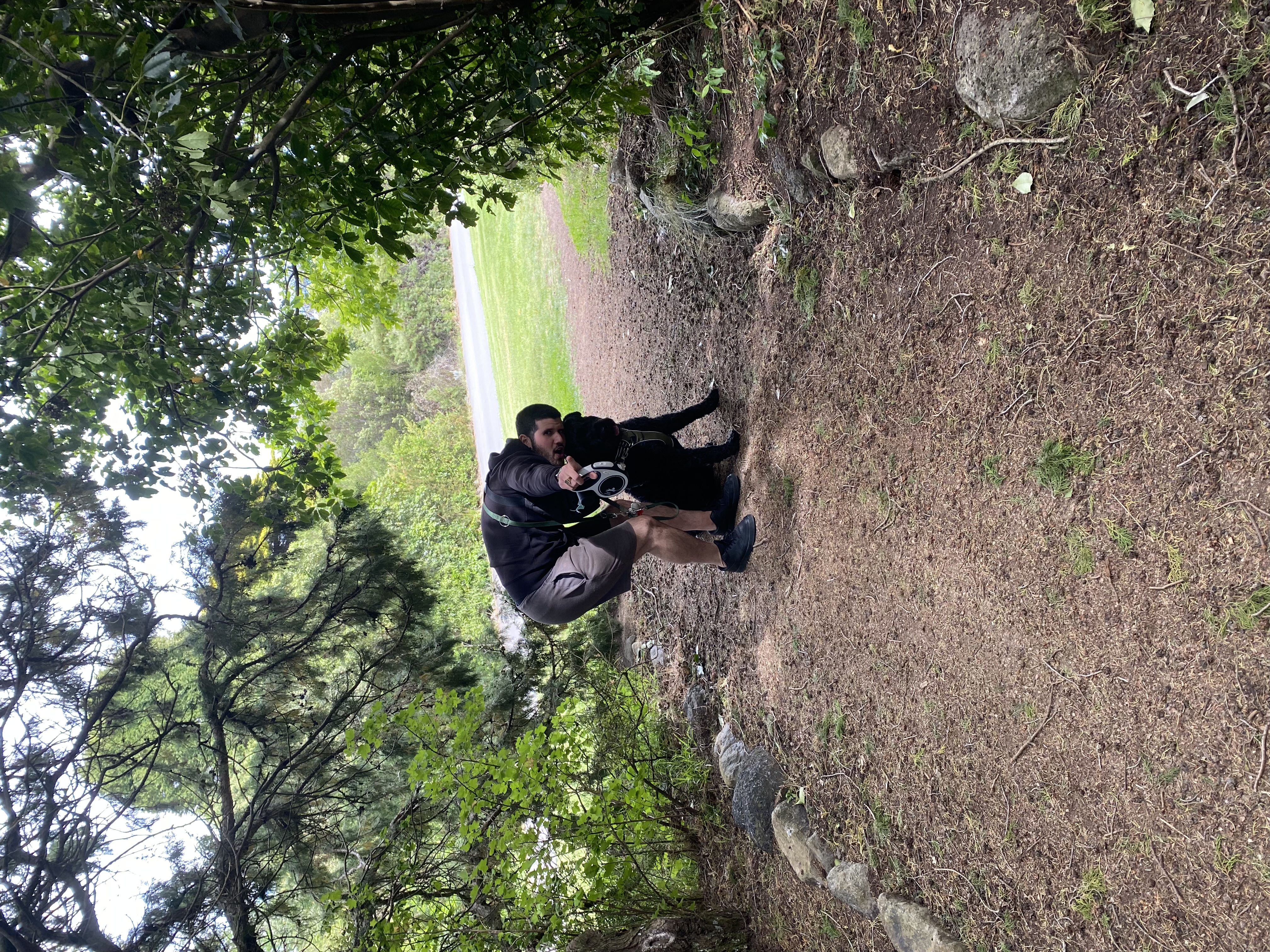 image-4