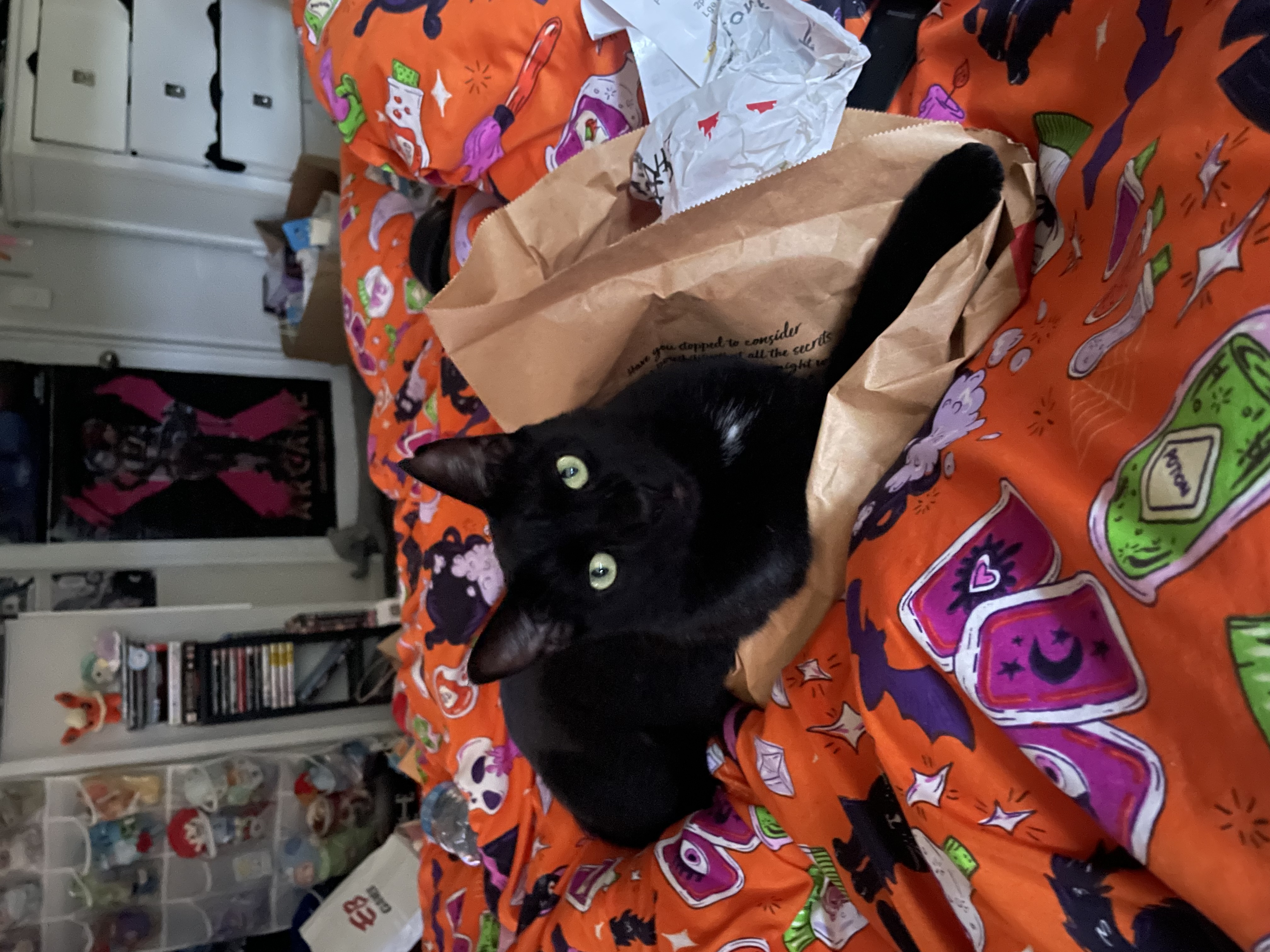 image-10