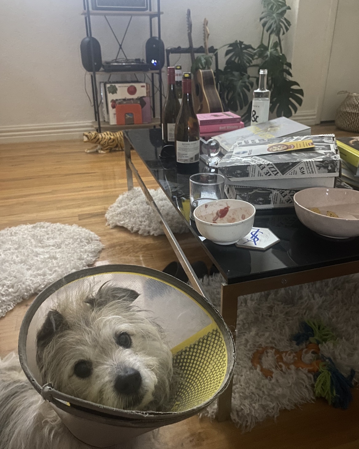 image-8