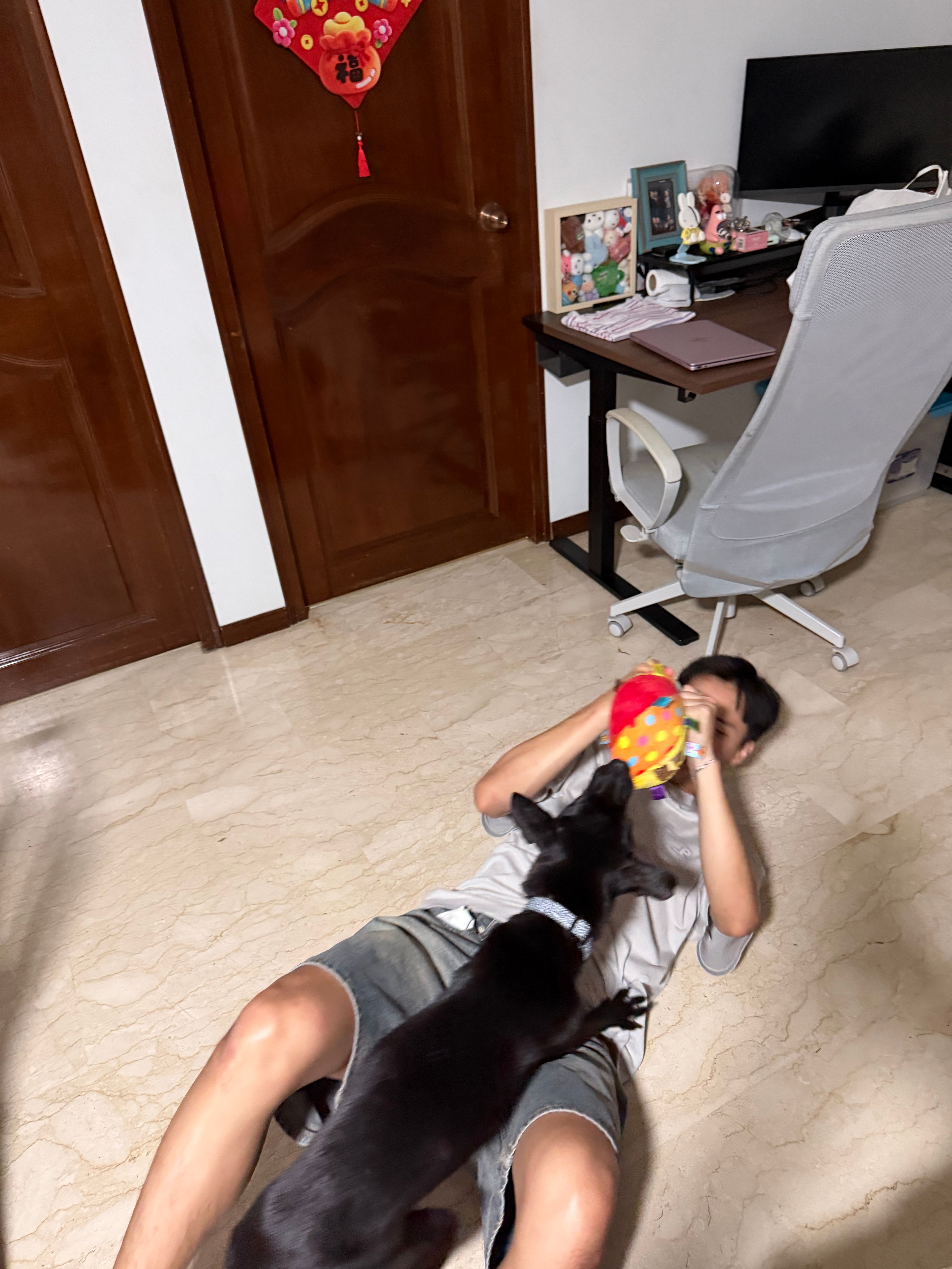 image-25